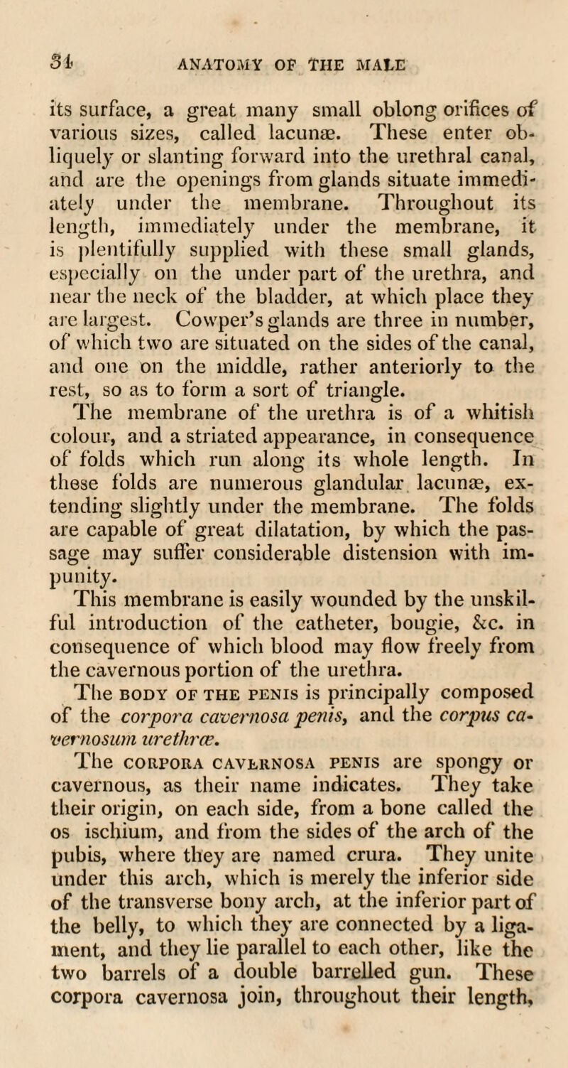 its surface, a great many small oblong orifices of various sizes, called lacunae. These enter ob¬ liquely or slanting forward into the urethral canal, and are the openings from glands situate immedi¬ ately under the membrane. Throughout its length, immediately under the membrane, it is plentifully supplied with these small glands, especially on the under part of the urethra, and near the neck of the bladder, at which place they are largest. Cowper’s glands are three in number, of which two are situated on the sides of the canal, and one on the middle, rather anteriorly to the rest, so as to form a sort of triangle. The membrane of the urethra is of a whitish colour, and a striated appearance, in consequence of folds which run along its whole length. In these folds are numerous glandular lacunae, ex¬ tending slightly under the membrane. The folds are capable of great dilatation, by which the pas¬ sage may suffer considerable distension with im¬ punity. This membrane is easily wounded by the unskil¬ ful introduction of the catheter, bougie, &c. in consequence of which blood may flow freely from the cavernous portion of the urethra. The body of the penis is principally composed of the corpora cavernosa penis, and the corpus ca- vernosum urethra?. The corpora cavernosa penis are spongy or cavernous, as their name indicates. They take their origin, on each side, from a bone called the os ischium, and from the sides of the arch of the pubis, where they are named crura. They unite under this arch, which is merely the inferior side of the transverse bony arch, at the inferior part of the belly, to which they are connected by a liga¬ ment, and they lie parallel to each other, like the two barrels of a double barrelled gun. These corpora cavernosa join, throughout their length.