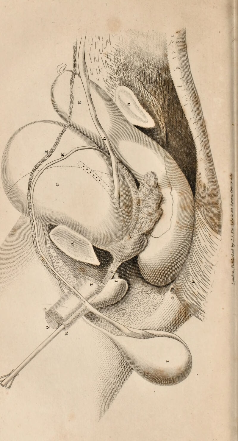 London, hibb.,W fy J.J. Mo. J*CaJ* Optra tnUnuuid,