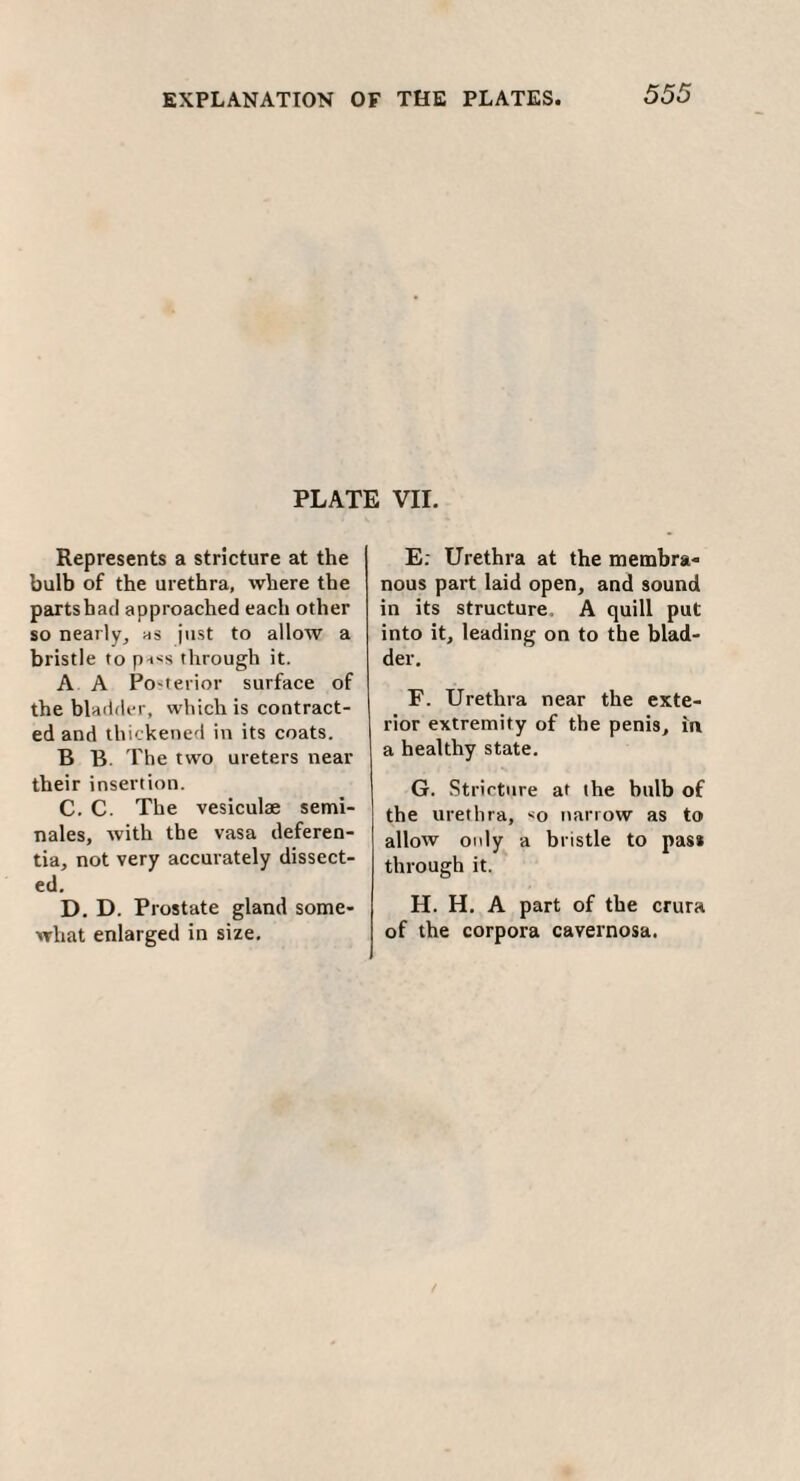 PLATE VII. Represents a stricture at the bulb of the urethra, where the partshad approached each other so nearly, as just to allow a bristle to pa^s through it. A A Posterior surface of the bladder, which is contract¬ ed and thickened in its coats. B B. The two ureters near their insertion. C. C. The vesiculae semi- nales, with the vasa deferen- tia, not very accurately dissect¬ ed. D. D. Prostate gland some¬ what enlarged in size. E; Urethra at the membra¬ nous part laid open, and sound in its structure A quill put into it, leading on to the blad¬ der. F. Urethra near the exte¬ rior extremity of the penis, in a healthy state. G. Stricture at the hulb of the urethra, *o narrow as to allow only a bristle to pass through it. H. H. A part of the crura of the corpora cavernosa.