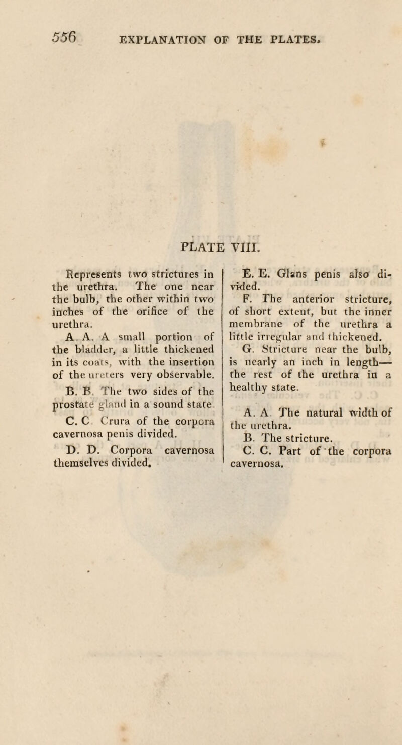 PLATE VIII. Represents two strictures in the urethra. The one near the bulb, the other within two inches of the orifice of the urethra. A A. A small portion of the bladder, a little thickened in its coats, with the insertion of the ureters very observable. B. B. The two sides of the prostate gland in a sound state C. C Crura of the corpora cavernosa penis divided. D. D. Corpora cavernosa themselves divided. E. E. Gians penis also di¬ vided. F. The anterior stricture, of short extent, but the inner membrane of the urethra a little irregular and thickened. G. Stricture near the bulb, is nearly an inch in length— the rest of the urethra in a healthy state. A. A The natural width of the urethra. B. The stricture. C. C. Part of the corpora