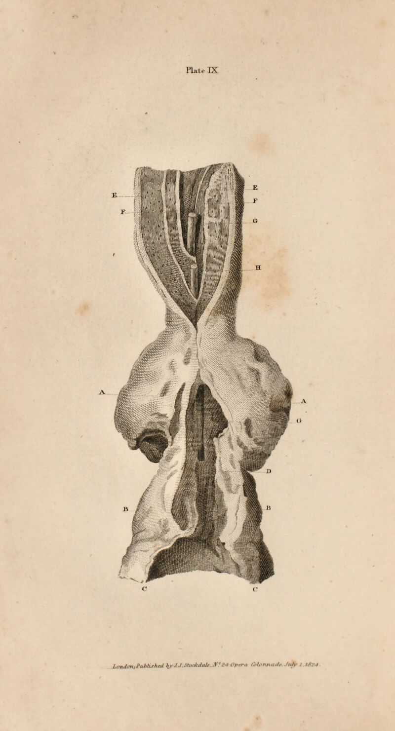 London.}Published \yJ-J. Stockdale, N?2* Opera tblonnadc Juh- l ifts*