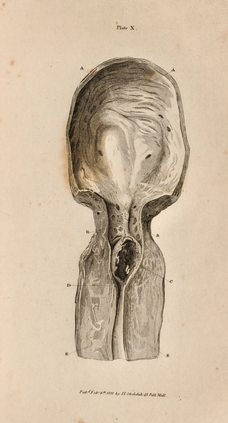 FWe X . ru6trri*s+jtu, bj,