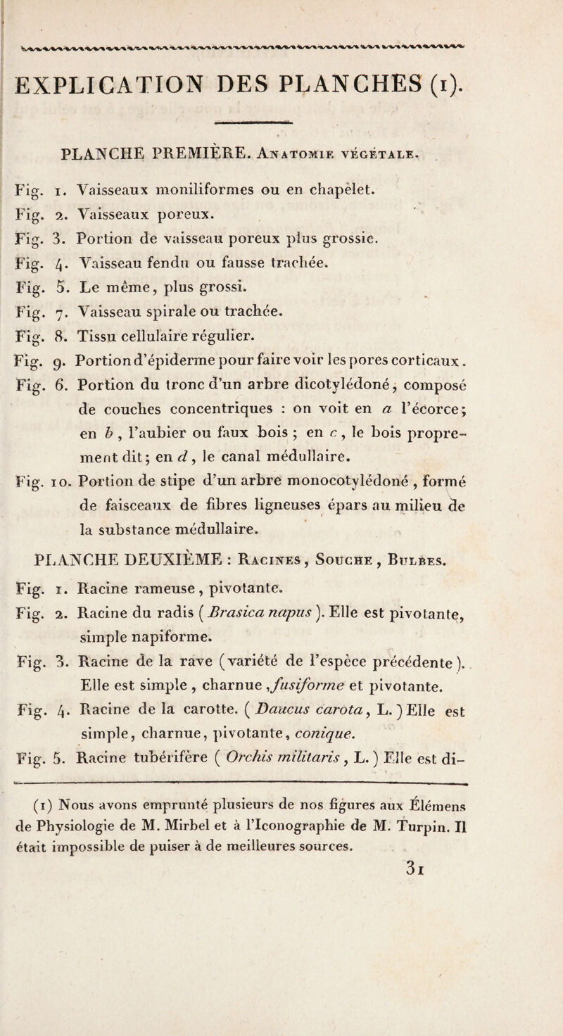 è à EXPLICATION DES PLANCHES (i). PLANCHE PREMIÈRE. Anatomie végétale. Fig. I. Vaisseaux moniliformes ou en chapelet. Fig. 2. Vaisseaux poreux. Fig. 3. Portion de vaisseau poreux plus grossie. Fig. 4. AVdsseau fendu ou fausse trachée. Fig. 5. Le même, plus grossi. Fig. 7. Vaisseau spirale ou trachée. Fig. 8. Tissu cellulaire régulier. Fig. 9. Portion d’épiderme pour faire voir les pores corticaux. Fig. 6. Portion du tronc d’un arbre dicotylédoné, composé de couches concentriques : on voit en a l’écorce; en b , l’aubier ou faux bois ; en r, le bois propre¬ ment dit; en<^, le canal médullaire. Fig. 10. Portion de stipe d’un arbre monocotylédoné , formé de faisceaux de fibres ligneuses épars au milieu de la substance médullaire. PLANCHE DEUXIÈME : Racines, Souche , Bulbes. Fig. I. Racine rameuse , pivotante. Fig. 2. Racine du radis ( Brasica napus ). Elle est pivotante, simple napiforme. Fig. 3. Racine de la rave (variété de l’espèce précédente). Elle est simple , charnue ^fusiforme et pivotante. Fig. 4. Racine de la carotte. {^Daucus carota^ L. )Elle est simple, charnue, pivotante, conique. Fig. 5. Racine tubérifère ( Orchis müitaris, L. ) Elle est di- (i) Nous avons emprunté plusieurs de nos figures aux Élémens de Physiologie de M. Mirbel et à l’Iconographie de M. Turpin. Il était impossible de puiser à de meilleures sources. 3i