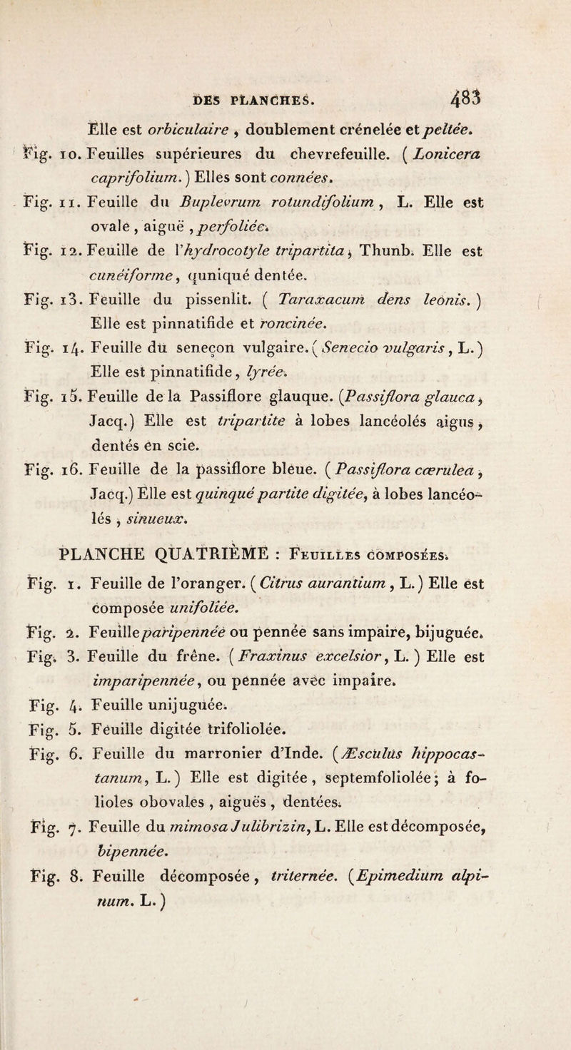 Elle est orhiculaire , doublement crénelée etpellée, Eig. 10. Feuilles supérieures du chèvrefeuille. ( Lonicera caprifolium. ) Elles sont connées, Fig. II. Feuille du Buplevrum rotundifolium ^ L. Elle est ovale , aiguë ,perfoliée* Fig. 12. Feuille de Vhjdrocotyle tripartita ^ Thunbi Elle est cunéiforme^ quniqué dentée. Fig. i3. Feuille du pissenlit. ( Taraxacuni dens leonis. ) Elle est pinnatifide et roncinée. Fig. l[^. Feuille du seneçon wû^dlveySenecio vulgajis Elle est pinnatifide, lyrée. Fig. 15. Feuille delà Passiflore glauque. (Passijlora glauca ^ Jacq.) Elle est triparlite à lobes lancéolés aigus j dentés én scie. Fig. i6. Feuille de la passiflore bleue. {^Passijlora cœrulea, Jacq.) Elle est quinqué partite digitée^ à lobes lancéo¬ lés , sinueux^, PLANCHE QUATRIÈME : Feuilles composées. Fig. ï. Feuille de l’oranger. (^Citr'us aurantium , L.) Elle est composée unifoliée. Fig. 1. Feuilleou pennée sans impaire, bijuguée* Figi 3. Feuille du frêne. {Fraxinus excelsior Elle est imparipennée ^ ou pennée avec impaire. Fig. 4* Feuille unijuguée^ Fig. 5. Feuille digitée trifoliolée. Fig. 6. Feuille du marronier d’Inde. [Æsctilüs hippocas^ tanum, L.) Elle est digitée, septemfoliolée; à fo¬ lioles obovales , aiguës , dentées; Fig. 7. Feuille du mimosa Julibrizin, L. Elle est décomposée, hipennée. Fig. 8; Feuille décomposée, triternée. [Epimediurn aJpi’- num. L. )