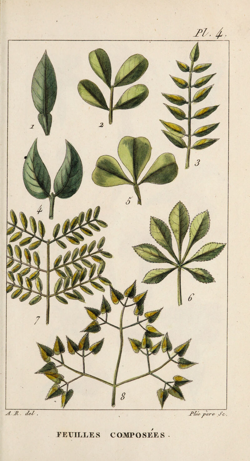 M'. EETTILLES COJVIPOSEES .