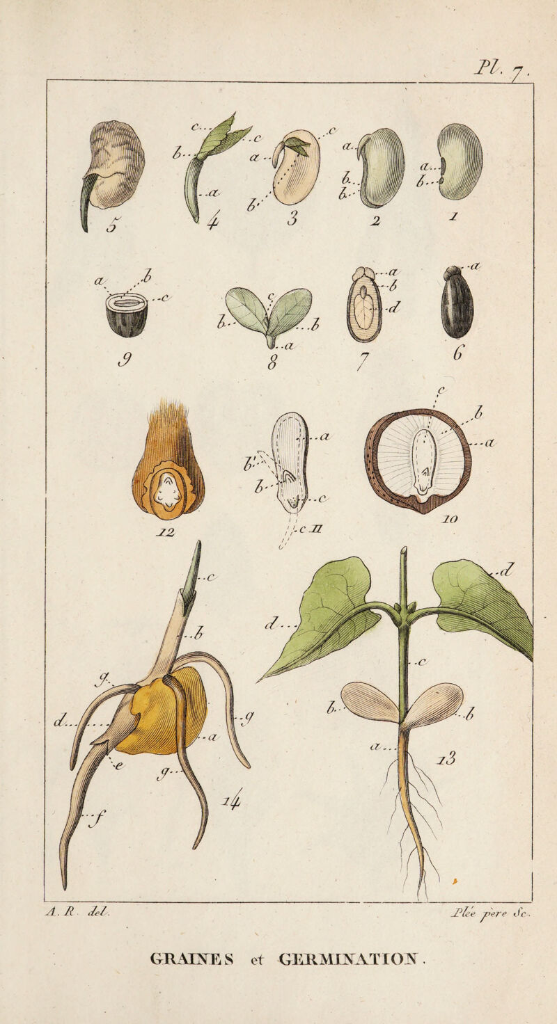 ■Plee / Je. GRATS^RS et GERMIAATICW.