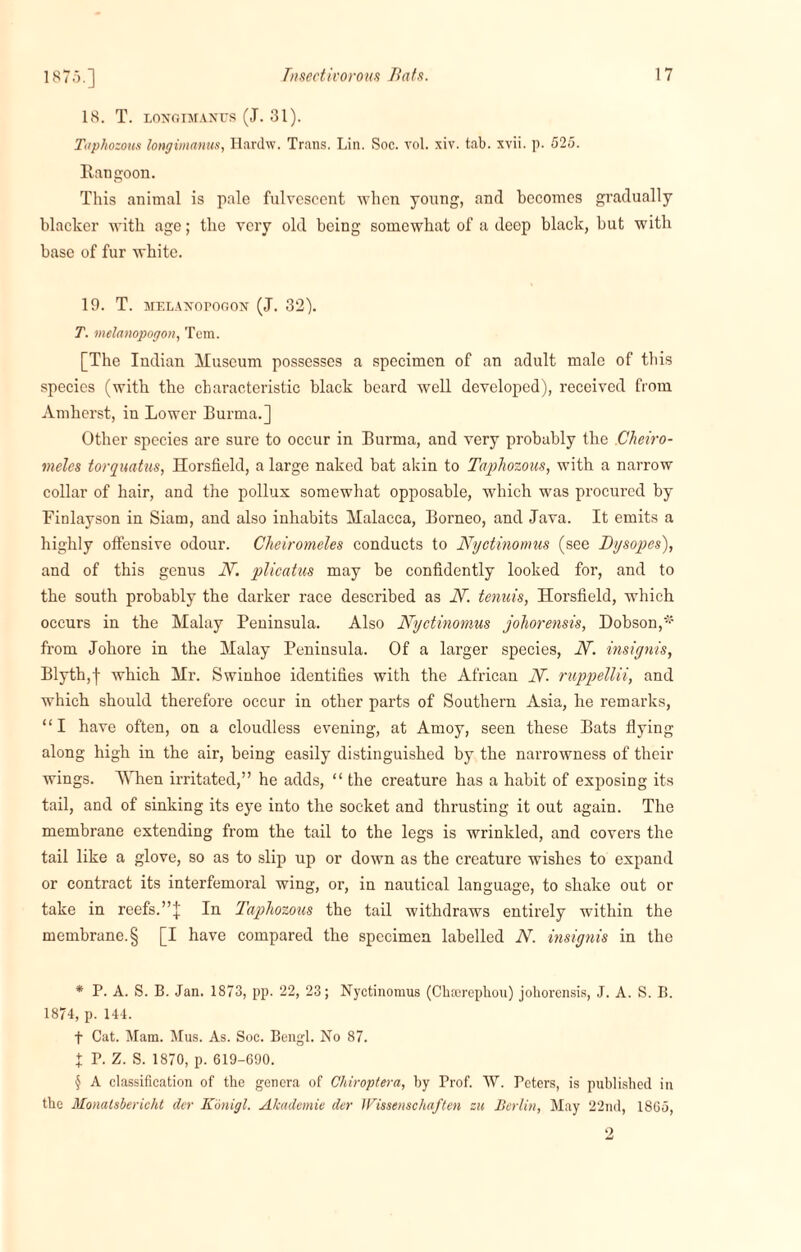 18. T. LONGIMANUS (J. 31). Taphozous longimanus, Hardw. Trans. Lin. Soc. vol. xiv. tab. xvii. p. 525. Rangoon. This animal is pale fulvcscent when young, and becomes gradually blacker with age; the very old being somewhat of a deep black, but with base of fur white. 19. T. MELANOPOGON (J. 32). T. melanopogon, Tem. [The Indian Museum possesses a specimen of an adult male of this species (with the characteristic black beard well developed), received from Amherst, in Lower Burma.] Other species are sure to occur in Burma, and very probably the Cheiro- meles torquatus, Horsfield, a large naked bat akin to Taphozous, with a narrow collar of hair, and the pollux somewhat opposable, which was procured by Finlayson in Siam, and also inhabits Malacca, Borneo, and Java. It emits a highly offensive odour. Cheiromeles conducts to Nyotinomus (see Dysopes), and of this genus N. plicatus may be confidently looked for, and to the south probably the darker race described as IT. tenuis, Horsfield, which occurs in the Malay Peninsula. Also Nyctinomus johorensis, Dobson,* * * § from Johore in the Malay Peninsula. Of a larger species, N. insignis, Blyth,j- which Mr. Swinhoe identifies with the African N ruppellii, and which should therefore occur in other parts of Southern Asia, he remarks, “I have often, on a cloudless evening, at Amoy, seen these Bats flying along high in the air, being easily distinguished by the narrowness of their wings. When irritated,” he adds, “ the creature has a habit of exposing its tail, and of sinking its eye into the socket and thrusting it out again. The membrane extending from the tail to the legs is wrinkled, and covers the tail like a glove, so as to slip up or down as the creature wishes to expand or contract its interfemoral wing, or, in nautical language, to shake out or take in reefs.In Taphozous the tail withdraws entirely within the membrane. § [I have compared the specimen labelled N. insignis in the * P. A. S. B. Jan. 1873, pp. 22, 23; Nyctinomus (Chccrephou) johorensis, J. A. S. B. 1874, p. 144. f Cat. Mam. Mus. As. Soc. Bengl. No 87. + P. Z. S. 1870, p. 619-690. § A classification of the genera of Chiroptera, by Prof. W. Peters, is published in the Monalsbericht der Konigl. Akademie der Wissenschaften za Berlin, May 22nd, 1865,