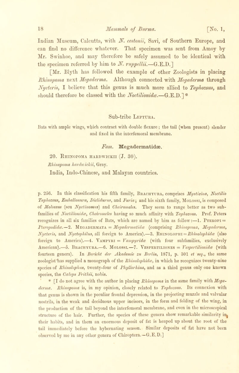 Indian Museum, Calcutta, with N. cestonii, Savi, of Southern Europe, and can find no difference whatever. That specimen was sent from Amoy by Mr. Swinhoe, and may therefore be safely assumed to be identical with the specimen referred by him to N. ruppellii.—G.E.D.] [Mr. Blyth has followed the example of other Zoologists in placing Rhinopoma next Megaderma. Although connected with Megaderma through Nycteris, I believe that this genus is much more allied to Taphozous, and should therefore be classed with the Noctilionidcc.—G.E.D.] * Sub-tribe Leftura. fiats with ample wings, which contract with double flexure ; the tail (when present) slender and fixed in the interfemoral membrane. Fam. Megadermatidse. 20. RuiNOrOMA hardwickii (J. 30). Rhinopoma harduickii, Gray. India, Indo-Chinese, and Malayan countries. p. 256. In this classification his fifth family, Brachyura, comprises Mysticina, Noctilio Taphozous, Emballomra, Diclidurus, and Faria; and his sixth family, Molossi, is composed of Molossus (seu Nyctinomus) and Cheiromeles. They seem to range better as two sub¬ families of Noctilionidce, Cheiromeles having so much affinity with Taphozous. Prof. Peters recognizes in all six families of Bats, which are named by him as follow:—1. Pteropi = Pteropodidce.—2. Megadermata = Megadermatidm (comprising Rhinopoma, Megaderma, Nycteris, and Nyctophilus, all foreign to America).—3. Bhinolophi = Rhinolophidce (also foreign to America).—4. Vampyri = Yampyridce (with four subfamilies, exclusively American).—5. Brackyura.—6. Molossi.—7. Vespertiliones = Yespertilionidee (with fourteen genera). In Bericht der Akademie zu Berlin, 1871, p. 301 et seq., the same zoologist'has supplied a monograph of the Rhinolophidce, in which he recognizes twenty-nine species of Rhinolophus, twenty-four of Phyllorhina, and as a third genus only one known species, the Ceelops Frithii, nobis. * [I do not agree wdth the author in placing Rhinopoma in the same family with Mega- derma. Rhinopoma is, in my opinion, closely related to Taphozous. Its connexion with that genus is shown in the peculiar frontal depression, in the projecting muzzle and valvular nostrils, in the weak and deciduous upper incisors, in the form and folding of the wing, in the production of the tail beyond the interfemoral membrane, and even in the microscopical structure of the hair. Further, the species of these genera show remarkable similarity in^ their habits, and in them an enormous deposit of fat is heaped up about the root of the tail immediately before the hybernating season. Similar deposits of fat have not been observed by me in any other genera of Chiroptera.—G.E. D.]