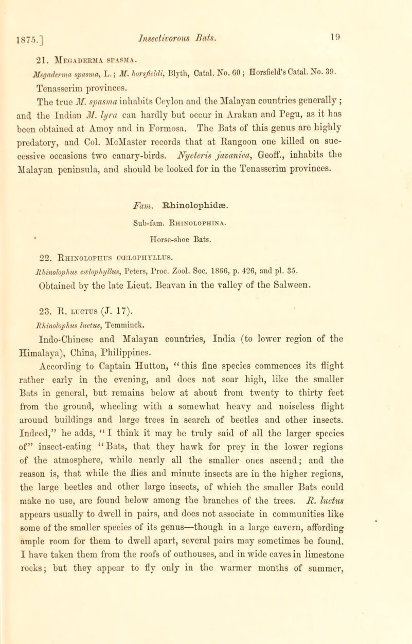 187.5.] 21. Megaderma spasma. Megaderma spasma, L.; M. horsf eldi, Blyth, Catnl. No. GO; Horsfield’a Catal. No. 39. Tenasserim provinces. The true If. spasma inhabits Ceylon and the Malayan countries generally ; and the Indian 11. lyra can hardly hut occur in Arakan and Pegu, as it has been obtained at Amoy and in Formosa. The Bats of this genus are highly predatory, and Col. McMaster records that at Rangoon one killed on suc¬ cessive occasions two canary-birds. Nycteris javanica, Geoff., inhabits the Malayan peninsula, and should be looked for in the Tenasserim provinces. Fam. Khinolophidae. Sub-fam. Rhinolophina. Horse-shoe Bats. 22. RnrxoLOPnrs camornYLLUs. Rhinolophus ccclophyllus, Peters, Proc. Zool. Soc. 1866, p. 426, anil pi. 35. Obtained by the late Lieut. Bcavan in the valley of the Salween. 23. R. lttctus (J. 17). Rhinolophus luctus, Temminck. Indo-Chinese and Malayan countries, India (to lower region of the Himalaya), China, Philippines. According to Captain Hutton, “ this fine species commences its flight rather early in the evening, and does not soar high, like the smaller Bats in general, but remains below at about from twenty to thirty feet from the ground, wheeling with a somewhat heavy and noiseless flight around buildings and large trees in search of beetles and other insects. Indeed,” he adds, “ I think it may be truly said of all the larger species of” insect-eating “Bats, that they hawk for prey in the lower regions of the atmosphere, while nearly all the smaller ones ascend; and the reason is, that while the flies and minute insects are in the higher regions, the large beetles and other large insects, of which the smaller Bats could make no use, are found below among the branches of the trees. It. luctus appears usually to dwell in pairs, and does not associate in communities like some of the smaller species of its genus—though in a large cavern, affording ample room for them to dwell apart, several pairs may sometimes be found. I have taken them from the roofs of outhouses, and in wide caves in limestone rocks; but they appear to fly only in the warmer months of summer,