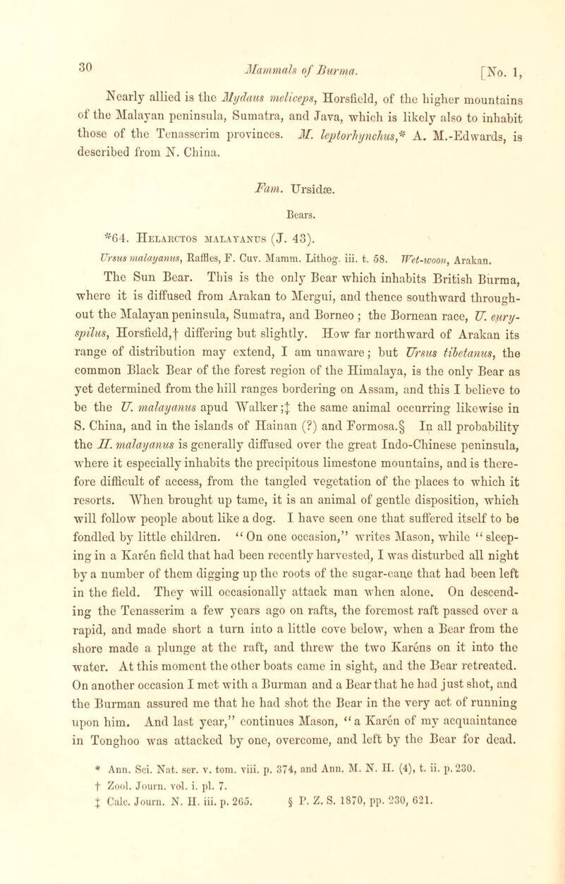 Nearly allied is the Mydaus meliceps, Horsiield, of the higher mountains of the Malayan peninsula, Sumatra, and Java, which is likely also to inhabit those of the Tenasserim provinces. M. leptorhjnchus* A. M.-Edwards, is described from N. China. Fam. Ursidse. Bears. *64. Helarctos malayanus (J. 43). TTrsus malayanus, Raffles, F. Cuv. Mamm. Litkog. iii. t. 58. Wet-ivoon, Arakan. The Sun Bear. This is the only Bear which inhabits British Burma, where it is diffused from Arakan to Mergui, and thence southward through¬ out the Malayan peninsula, Sumatra, and Borneo ; the Bornean race, U. eyry- spilus, Horsiield,f differing but slightly. How far northward of Arakan its range of distribution may extend, I am unaware; but TTrsus tibetanus, the common Black Bear of the forest region of the Himalaya, is the only Bear as yet determined from the hill ranges bordering on Assam, and this I believe to be the U. malayanus apud Walker the same animal occurring likewise in S. China, and in the islands of Hainan (?) and Formosa.§ In all probability the H. malayanus is generally diffused over the great Indo-Chinese peninsula, where it especially inhabits the precipitous limestone mountains, and is there¬ fore difficult of access, from the tangled vegetation of the places to which it resorts. When brought up tame, it is an animal of gentle disposition, which will follow people about like a dog. I have seen one that suffered itself to be fondled by little children. “ On one occasion,” writes Mason, while “ sleep¬ ing in a Karen field that had been recently harvested, I was disturbed all night by a number of them digging up the roots of the sugar-cane that had been left in the field. They will occasionally attack man when alone. On descend¬ ing the Tenasserim a few years ago on rafts, the foremost raft passed over a rapid, and made short a turn into a little cove below, when a Bear from the shore made a plunge at the raft, and threw the two Karens on it into the water. At this moment the other boats came in sight, and the Bear retreated. On another occasion I met with a Burman and a Bear that he had just shot, and the Burman assured me that he had shot the Bear in the very act of running upon him. And last year,” continues Mason, “a Karen of my acquaintance in Tonghoo was attacked by one, overcome, and left by the Bear for dead. * Ann. Sci. Nat. ser. v. tom. viii. p. 374, and Ann. M. N. II. (4), t. ii. p. 230. t Zool. Journ. vol. i. pi. 7. J Calc. Journ. N. II. iii. p. 265. § P. Z. S. 1870, pp. 230, 621.