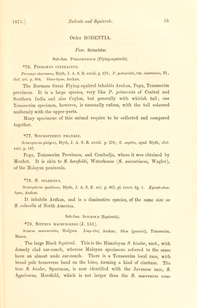 Order BODENTIA. Fam. Sciuridse. Sub-fam. Pteromydinte (Flying-squirrels). *76. Pteromys cineraceus. Pleromys cineraceus, Blyth, J. A. S. B. xxviii. p. 276; P. pctaurista, var. cineraceus, Bl., ibid. xvi. p. 864. Shau-byau, Arakan. The Burmese Great Flying-squirrel inhabits Aralian, Pegu, Tenasserim provinces. It is a large species, very like F. petaurista of Central and Southern India and also Ceylon, but generally with whitish tail; one Tenasserim specimen, however, is unusually rufous, with the tail coloured uniformly with the upper-parts. Many specimens of this animal require to he collected and compared together. *77. SCIUROPTERUS PHAYREI. Sciuropterus phayrei, Blyth, J. A. S. B. xxviii. p. 278; S. sagitta, apud Blyth, ibid. xxiv. p. 187. Pegu, Tenasserim Provinces, and Cambodja, where it was obtained by Mouhot. It is akin to S. Tiorsfieldi, Waterhouse (S. aurantiacus, Wagler), of the Malayan peninsula. *78. S. SPADICEUS. Sciuropterus spadiceus, Blyth, J. A. S. B. xvi. p. 867, pi. xxxvi. fig. 1. Kywat-shoo- byan, Arakan. It inhabits Ara'kan, and is a diminutive species, of the same size as S. volucella of North America. Sub-fam. Sciurinte (Squirrels). *79. SciURUS HACRUEOIDES (J. 151). Sciurus macruroides, Hodgson. Leng-thet, Arakan; Slieu (generic), Tenasserim, Mason. The large Black Squirrel. This is the Himalayan S. bicolor, auct., with densely clad ear-conch, whereas Malayan specimens referred to the same have an almost nude ear-conch. There is a Tenasserim local race, with broad pale transverse band on the loins, forming a kind of cincture. The true S. bicolor, Sparrman, is now identified with the Javanese race, S. hypoleucus, Horsfield, which is not larger than the S. macrounis com-