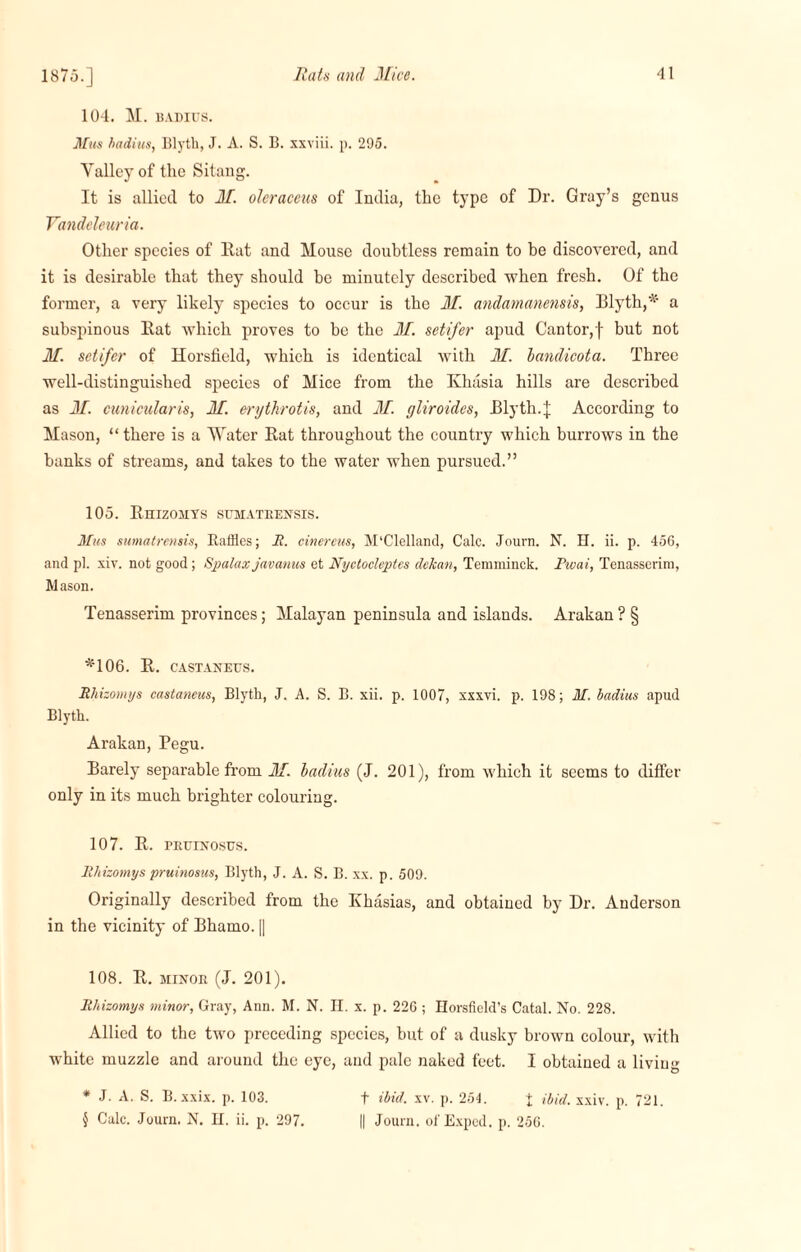 104. M. BADIUS. Mas hadius, Blyth, J. A. S. B. xxviii. p. 295. Valley of the Sitang. It is allied to M. oleraceus of India, the type of Dr. Gray’s genus Vandeleuria. Other species of llat and Mouse doubtless remain to be discovered, and it is desirable that they should be minutely described when fresh. Of the former, a very likely species to occur is the M. andamanensis, Blyth,* a subspinous Eat which proves to be the M. setifer apud Cantor,f but not M. setifer of Ilorsfield, which is identical with M. bandicota. Three well-distinguished species of Mice from the IChasia hills are described as M. cmicularis, M. erythrotis, and M. gliroides, Blyth.j According to Mason, “there is a Water Eat throughout the country which burrows in the banks of streams, and takes to the water when pursued.” 105. Ehizomys scmatrensis. Mus sumatrensis, Raffles; It. cinereus, McClelland, Calc. Journ. N. H. ii. p. 456, and pi. xiv. not good; Sjialax javanus et Nyctocleptes delean, Temminck. Pwai, Tenasscrim, Mason. Tenasserim provinces; Malayan peninsula and islands. Arakan ? § *106. E. CASTANEUS. Rhizomys castaneus, Blyth, J. A. S. B. xii. p. 1007, xxxvi. p. 198; M. badius apud Blyth. Arakan, Pegu. Barely separable from M. badius (J. 201), from which it seems to differ only in its much brighter colouring. 107. E. PRTTINOSUS. Rhizomys pruinosus, Blyth, J. A. S. B. xx. p. 509. Originally described from the Khasias, and obtained by Dr. Anderson in the vicinity of Bhamo. |] 108. E. minok (J. 201). Rhizomys minor, Gray, Ann. M. N. H. x. p. 226 ; Horsfield’s Catal. No. 228. Allied to the two preceding species, but of a dusky brown colour, with white muzzle and around the eye, and pale naked feet. I obtained a living t ibid. xv. p. 254. + ibid. xxiv. p. 721. || Journ. of Exped. p. 256. * J. A. S. B.xxix. p. 103. $ Calc. Journ. N. H. ii. p. 297.