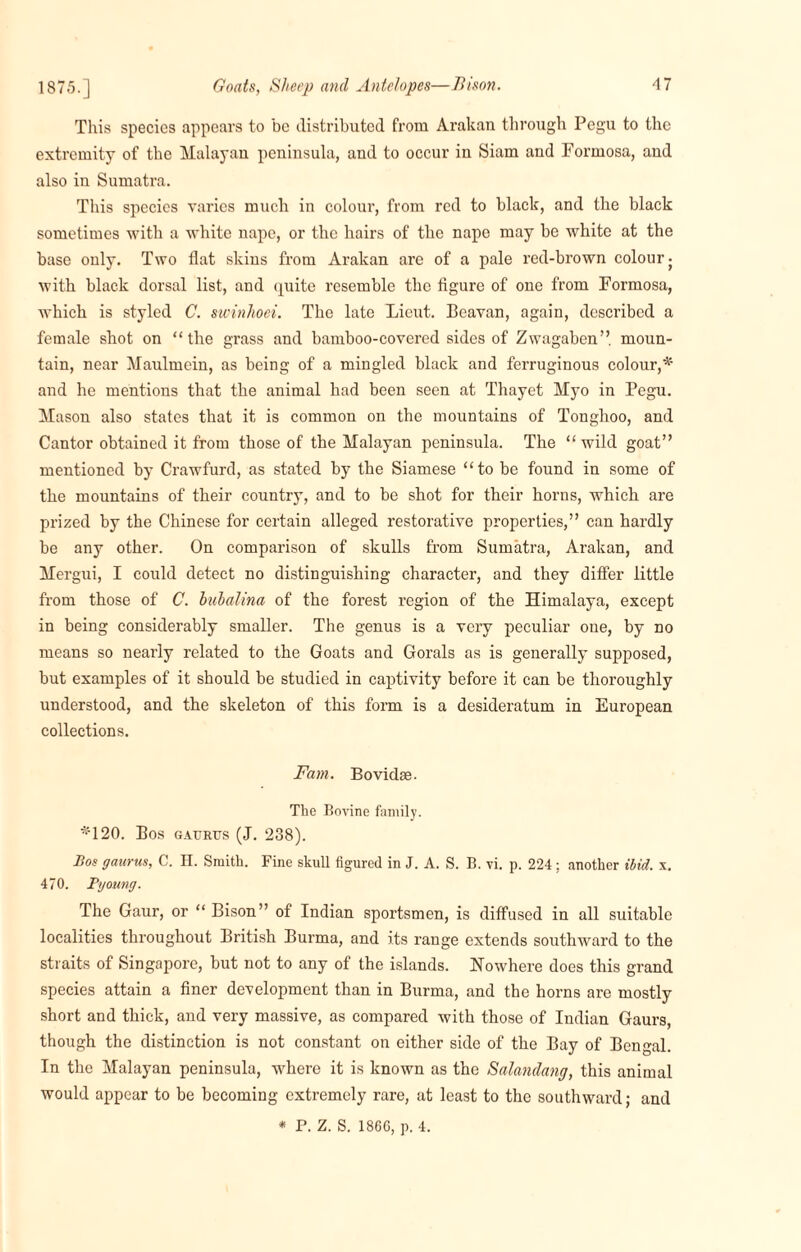 1875.] Goats, Sheep and Antelopes—Bison. A1 Tliis species appears to be distributed from Arakan through Pegu to the extremity of the Malayan peninsula, and to occur in Siam and Formosa, and also in Sumatra. This species varies much in colour, from red to black, and the black sometimes with a white nape, or the hairs of the nape may be white at the base only. Two flat skins from Arakan are of a pale red-brown colour ■ with black dorsal list, and quite resemble the figure of one from Formosa, which is styled C. swinhoei. The late Lieut. Beavan, again, described a female shot on “the grass and bamboo-covered sides of Zwagaben” moun¬ tain, near Maulmein, as being of a mingled black and ferruginous colour,* and he mentions that the animal had been seen at Thayet Myo in Pegu. Mason also states that it is common on the mountains of Tonghoo, and Cantor obtained it from those of the Malayan peninsula. The “wild goat” mentioned by Crawfurd, as stated by the Siamese “to be found in some of the mountains of their country, and to be shot for their horns, which are prized by the Chinese for certain alleged restorative properties,” can hardly be any other. On comparison of skulls from Sumatra, Arakan, and Mergui, I could detect no distinguishing character, and they differ little from those of C. bubalina of the forest region of the Himalaya, except in being considerably smaller. The genus is a very peculiar one, by no means so nearly related to the Goats and Gorals as is generally supposed, but examples of it should be studied in captivity before it can be thoroughly understood, and the skeleton of this form is a desideratum in European collections. Fam. Bovidse. The Bovine family. *120. Bos gaurus (J. 238). Bos gaurus, C. H. Smith. Fine skull figured in J. A. S. B. vi. p. 224; another ibid. x. 470. Tyoung. The Gaur, or “ Bison” of Indian sportsmen, is diffused in all suitable localities throughout British Burma, and its range extends southward to the straits of Singapore, but not to any of the islands. Nowhere does this grand species attain a finer development than in Burma, and the horns are mostly short and thick, and very massive, as compared with those of Indian Gaurs, though the distinction is not constant on either side of the Bay of Bengal. In the Malayan peninsula, where it is known as the Salandang, this animal would appear to be becoming extremely rare, at least to the southward; and