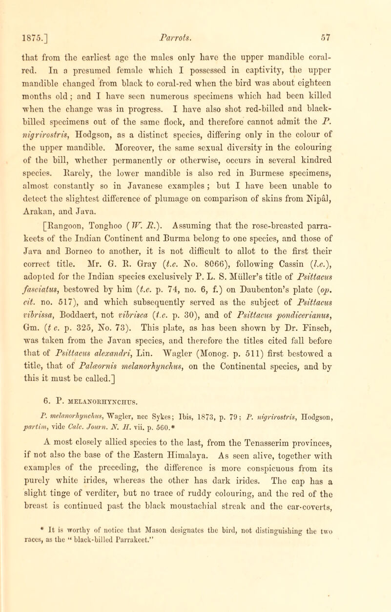 that from the earliest age the males only have the upper mandible coral- red. In a presumed female which I possessed in captivity, the upper mandible changed from black to coral-red when the bird was about eighteen months old ; and I have seen numerous specimens w'hich had been killed when the change was in progress. I have also shot red-billed and black¬ billed specimens out of the same flock, and therefore cannot admit the P. nigrirostris, Hodgson, as a distinct species, differing only in the colour of the upper mandible. Moreover, the same sexual diversity in the colouring of the bill, whether permanently or otherwise, occurs in several kindred species, Rarely, the lower mandible is also red in Burmese specimens, almost constantly so in Javanese examples ; but I have been unable to detect the slightest difference of plumage on comparison of skins from Hipal, Arakan, and Java. [Rangoon, Tonghoo (TV. R.). Assuming that the rose-breasted parra- keets of the Indian Continent and Burma belong to one species, and those of Java and Borneo to another, it is not difficult to allot to the first their correct title. Mr. G. R. Gray (t.c. Ho. 8066), following Cassin (l.c.), adopted for the Indian species exclusively P. L. S. Muller’s title of Psittacus fascialus, bestowed by him {t.c. p. 74, no. 6, f.) on Daubenton’s plate {op. cit. no. 517), and which subsequently served as the subject of Psittacus vibrissa, Boddaert, not vibrisca {t.c. p. 30), and of Psittacus pondicerianus, Gm. {t c. p. 325, Ho. 73). This plate, as has been shown by Dr. Finsch, was taken from the Javan species, and therefore the titles cited fall before that of Psittacus alexandri, Lin. Wagler (Monog. p. 511) first bestowed a title, that of Palceornis melanorhynclius, on the Continental species, and by this it must be called.] 6. P. melanoruyxchus. P. melanorhynchus, Wagler, nec Sykes; Ibis, 1873, p. 79; P. nigrirostris, Hodgson, partial, vide Calc. Journ. N. II. vii. p. 560.* A most closely allied species to the last, from the Tenasserim provinces, if not also the base of the Eastern Himalaya. As seen alive, together with examples of the preceding, the difference is more conspicuous from its purely white irides, whereas the other has dark irides. The cap has a slight tinge of verditer, but no trace of ruddy colouring, and the red of the breast is continued past the black moustachial streak and the ear-coverts, * It is worthy of notice that Mason designates the bird, not distinguishing the two races, as the “ black-billed Parrakeet.”