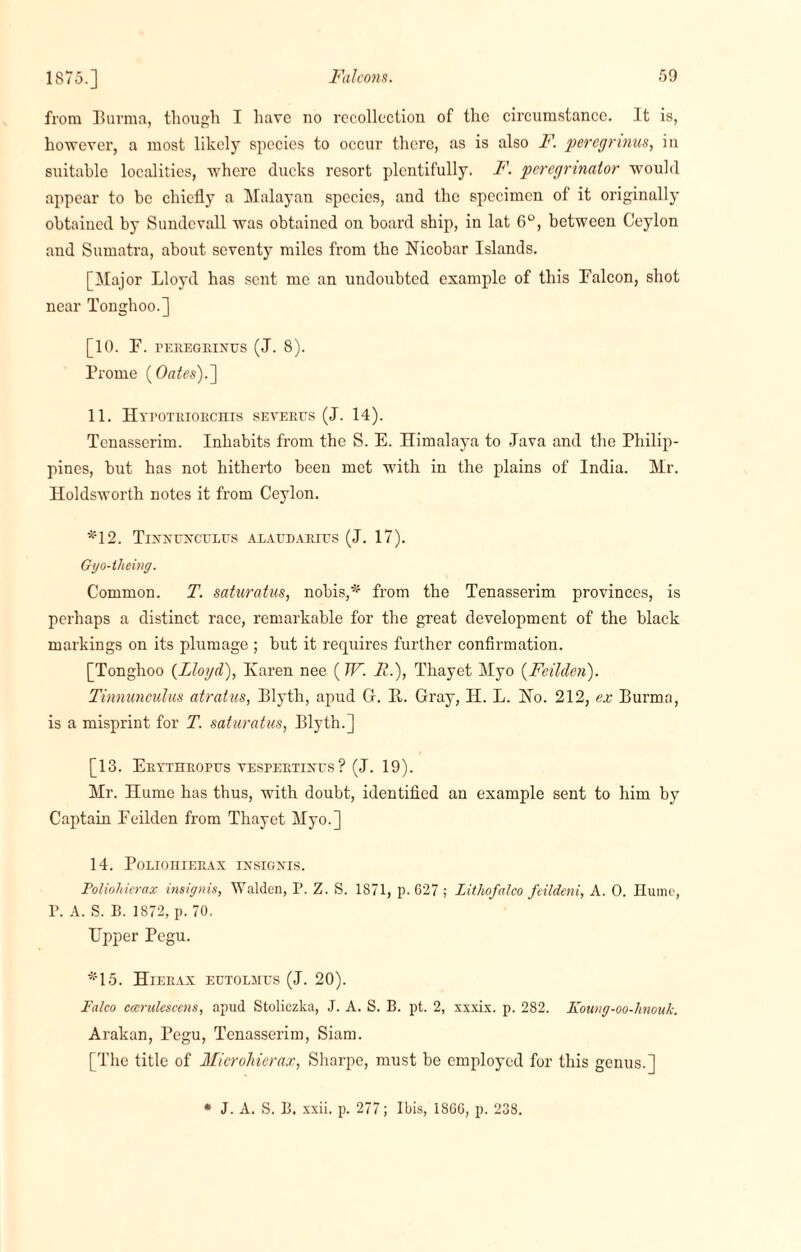 from Burma, though I have no recollection of the circumstance. It is, however, a most likely species to occur there, as is also F. percgrinus, in suitable localities, where ducks resort plentifully. F. peregnnator wTouhl appear to be chiefly a Malayan species, and the specimen of it originally obtained by Sundevall was obtained on board ship, in lat 6°, between Ceylon and Sumatra, about seventy miles from the Nicobar Islands. [Major Lloyd has sent me an undoubted example of this Falcon, shot near Tonghoo.] [10. F. PEREGRINUS (J. 8). Prome (Oates). ] 11. Htpotriorchis severus (J. 14). Tenasserim. Inhabits from the S. E. Himalaya to Java and the Philip¬ pines, but has not hitherto been met with in the plains of India. Mr. Holdsworth notes it from Ceylon. *12. Tixnuxcelus alaudarius (J. 17). Gyo-iheing. Common. T. saturatus, nobis,* from the Tenasserim provinces, is perhaps a distinct race, remarkable for the great development of the black markings on its plumage ; but it requires further confirmation. [Tonghoo {Lloyd), Karen nee (W. R.), Thayet Myo {Feilden). Tinnunculus atratus, Blyth, apud G. It. Gray, H. L. No. 212, ex Burma, is a misprint for T. saturatus, Blyth.] [13. Erythropus vespertinus? (J. 19). Mr. Hume has thus, with doubt, identified an example sent to him by Captain Eeilden from Thayet Myo.] 14. Polio in firax insights. Poliohierax insignis, Walden, P. Z. S. 1871, p.627; Litliofalco feildcni, A. 0. Hume, P. A. S. B. 1872, p. 70, Upper Pegu. *15. Hierax eutolmus (J. 20). Falco ccerulescens, apud Stoliczka, J. A. S. B. pt. 2, xxxix. p. 282. Koung-oo-lvnouk. Arakan, Pegu, Tenasserim, Siam. [The title of Microhierax, Sharpe, must be employed for this genus.] * J. A. S. B. xxii. p. 277; Ibis, 1866, p. 238.