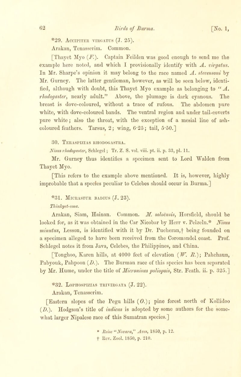 *29. Accipiter virgatus (J. 25). Arakan, Tenasserim. Common. [Thayet Myo (F.). Captain Eeilden was good enough to send me the example here noted, and which I provisionally identify with A. virgatus. In Mr. Sharpe’s opinion it may belong to the race named A. stevensoni by Mr. Gurney. The latter gentleman, however, as will be seen below, identi¬ fied, although with doubt, this Thayet Myo example as belonging to “ A. rhodogaster, nearly adult.” Above, the plumage is dark cyanous. The breast is dove-coloured, without a trace of rufous. The abdomen pure white, with dove-coloured bands. The ventral region and under tail-coverts pure white; also the throat, with the exception of a mesial line of ash- coloured feathers. Tarsus, 2; wing, 6-25; tail, 5'50.] 30. Teraspizias rhodogastra. Nisus rhodogaster, Schlegcl; Tr. Z. S. vol. viii. pt. ii. p. 33, pi. 11. Mr. Gurney thus identifies a specimen sent to Lord Walden from Thayet Myo. [This refers to the example above mentioned. It is, however, highly improbable that a species peculiar to Celebes should occur in Burma.] *31. Micrastur baditts (I. 23). Thinlcyet-oma. Arakan, Siam, Hainan. Common. M. soloensis, Horsfield, should he looked for, as it was obtained in the Car Nicobar by Herr v. Pelzeln.* Nisus minutus, Lesson, is identified with it by Hr. Pucheran,f being founded on a specimen alleged to have been received from the Coromandel coast. Prof. Schlegel notes it from Java, Celebes, the Philippines, and China. [Tonghoo, Karen hills, at 4000 feet of elevation (W. B.); Pahehaun, Pabyouk, Pahpoon (Zb). The Burman race of this species has been separated by Mr. Hume, under the title of Micro nisus poliopsis, Str. Heath, ii. p. 325.] *32. Lophospizias trivirgata (J. 22). Arakan, Tenasserim. [Eastern slopes of the Pegu hills (0.); pine forest north of Kollidoo (Zb). Hodgson’s title of indicus is adopted by some authors for the some¬ what larger Nipalesc race of this Sumatran species.] * Iteise “Novara, Aves, 1850, p. 12. f ltcv. Zool. 1850, p. 210.