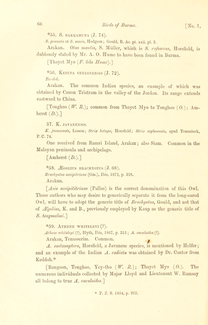 *55. S. BAKKAMUNA (J. 74). S. pennata et S. sunia, Hodgson; Gould, B. As. pt. xxii. pi. 3. Arakan. Otus mantis, S. AT Ciller, which is S. rufescens, Ilorsfield, is dubiously stated by Mr. A. 0. Ilumo to have been found in Burma. [Thayct Myo (F. tide Uume).~\ *56. Ketufa ceylonensis (J. 72). Tec-dok. Arakan. Hie common Indian species, an example of which was obtained by Canon Tristram in the valley of the Jordan. Its range extends eastward to China. [Tonghoo (TV. It.); common from Thayct Myo to Tonghoo (0.); Am¬ herst (Zb).] 57. K. JAVANENSIS. K. javanemis, Lesson; Strix ketupa, Ilorsfield; Strix ceylonensis, apud Temminck, P.C. 74. One received from Ramri Island, Arakan; also Siam. Common in the Malayan peninsula and archipelago. [Amherst (Zb).] *58. ZEgolitts beachyotus (J. 68). Brachyotus accipitrinus (Gm.), Ibis, 1872, p. 328. Arakan. \_Asio accipititrinus (Pallas) is the correct denomination of this Owl. Those authors who may desire to generically separate it from the long-eared Owl, will have to adopt the generic title of Brachyotus, Gould, and not that of AEgolius, Iv. and B., previously employed by Kaup as the generic title of S', tengmalmi.'] *59. Athene whiteleyi (?). Athene whiteleyi (?), Blyth, Ibis, 1867, p. 313 ; A. cuculoides (?). Arakan, Tenasserim. Common. . A. castanoptera, Ilorsfield, a Javanese species, is mentioned by Heifer; and an example of the Indian A. radiata was obtained by Dr. Cantor from Keddah.* [Rangoon, Tonghoo, Yey-tlio (W. It.); Thayet Myo (0.). The numerous individuals collected by Major Lloyd and Lieutenant \V. Ramsay all belong to true A. cuculoides.]