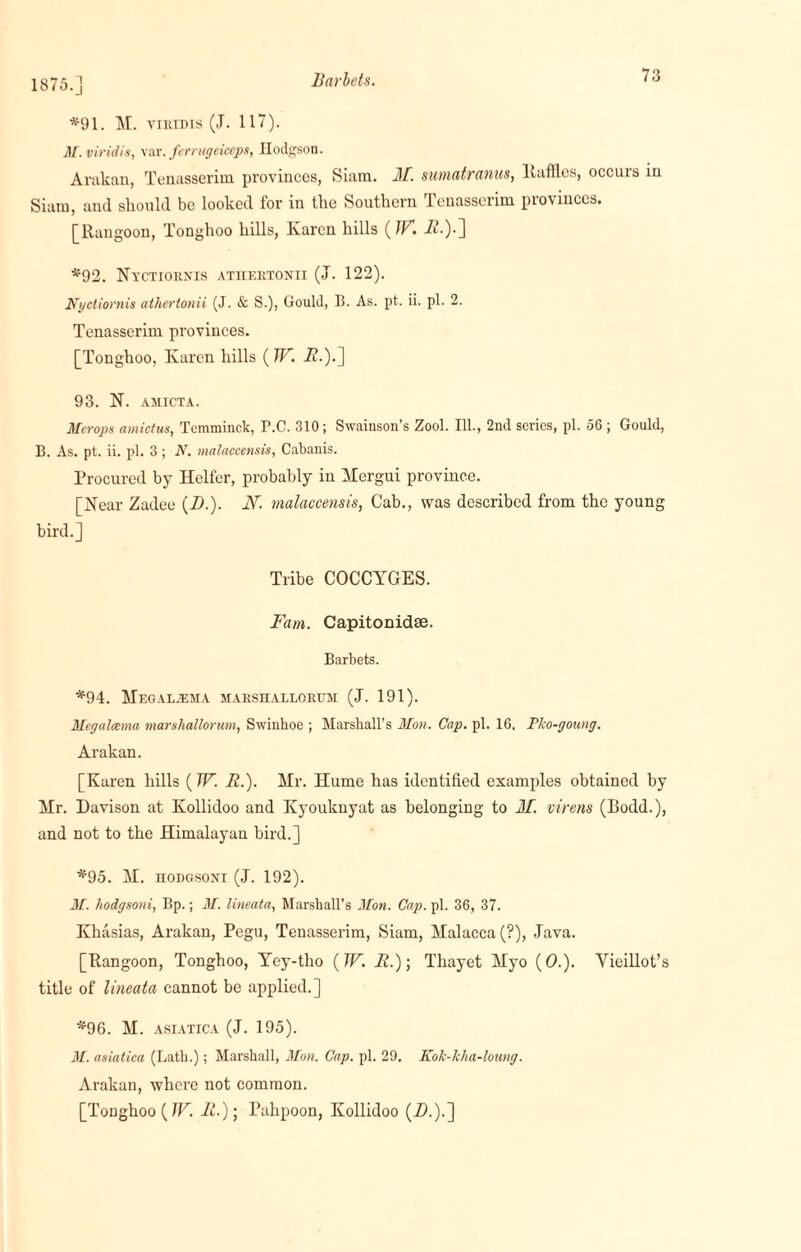 1875.] Barlcts. *91. M. viridis (J. 117). M.viridis, var. fcrrugeiceps, Hodgson. Arakan, Tenasseriin provinces, Siam. M. sumatranus, llaffl.es, occurs in Siam, and should be looked for in the Southern Tenasserim pio\iuccs. [Rangoon, Tonghoo hills, Ivarcn hills (TF. it.).] *92. Nyctiornis atiiertonii (J. 122). Nycliornis athertonii (J. & S.), Gould, B. As. pt. ii. pi. 2. Tenasserim pi'ovinces. [Tonghoo, Karen hills (IF. i?.).] 93. N. AillCTA. Merops amictus, Temminck, P.C. 310 ; Swainson’s Zool. Ill., 2nd series, pi. 56 ; Gould, B. As. pt. ii. pi. 3; N. malaccensis, Cabanis. Procured by Heifer, probably in Hergui province. [Hear Zadee (1).). N. malaccensis, Cab., was described from the young bird.] Tribe COCCYGES. Fam. Capitonidse. Barbets. *94. Megaljema marshallortjm (J. 191). Megalcema marshallorwn, Swinkoe ; Marshall’s Mon. Cap. pi. 16. Pko-goung. Arakan. [Karen hills (TF. R.). Hr. Hume has identified examples obtained by Hr. Davison at Kollidoo and Kyouknyat as belonging to M. virens (Bodd.), and not to the Himalayan bird.] *95. H. hodgsoxi (J. 192). M. hodgsoni, Bp.; M. lineata, Marshall’s Mon. Cap. pi. 36, 37. Khasias, Arakan, Pegu, Tenasserim, Siam, Halacca (?), Java. [Rangoon, Tonghoo, Yey-tho ( W,. R.)-, Thayet Hyo (0.). Yieillot’s title of lineata cannot be applied.] *96. H. asiatica (J. 195). M. asiatica (Lath.); Marshall, Mon. Cap. pi. 29. Kok-kha-loung. Arakan, where not common. [Tonghoo (IF. R-); Pahpoon, Kollidoo (A).).]