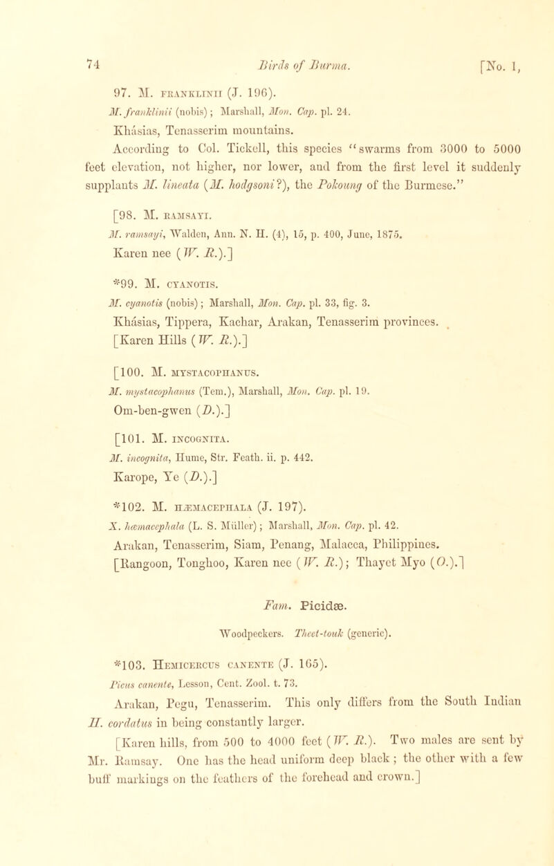 97. M. FRANKLINII (J. 196). M.franklinii (nobis); Marshall, Mon. Cap. pi. 24. Khasias, Tcnasserim mountains. According to Col. Tickcll, this species “ swarms from .3000 to 5000 feet elevation, not higher, nor lower, and from the first level it suddenly supplants M. lineata {M'. liodgsonil), the Polioung of the Burmese.” [98. M. RAMSAYI. M. ratnsayi, Walden, Ann. N. II. (4), to, p. 400, June, 1875. Karen nee (IF. i?.).] *99. M. CYANOTIS. M. cyanotis (nobis); Marshall, Mon. Cap. pi. 33, fig. 3. Khasias, Tippera, Kachar, Arakan, Tenasserim provinces. [Karen Hills {TV. i2.).] [100. M. MYSTACOPHANUS. M. mystacophanus (Tern.), Marshall, Mon. Cap. pi. 19. Om-ben-gwen (D.).] [101. H. INCOGNITA. M. incognita, Hume, Str. Feath. ii. p. 442. Karope, Ye (Zb).] *102. M. HiEHACEPHALA (J. 197). X. hcemacephala (L. S. Muller); Marshall, Mon. Cap. pi. 42. Arakan, Tenasserim, Siam, Penang, Malacca, Philippines. [Bangoon, Tonghoo, Karen nee {IV. It.)-, Thayet Myo (O.).] Fam. Picidse. Woodpeckers. Theet-touk (generic). *103. Hemicercus canente (J. 165). Ficus canente, Lesson, Cent. Zool. t. 73. Arakan, Pegu, Tenasserim. This only differs from the South Indian II. cordatus in being constantly larger. [Karen hills, from 500 to 4000 feet {TV. Ji.). Two males are sent by Mr. Ramsay. One has the head uniform deep black; the other with a few hull markings on the feathers of the forehead and crown.]
