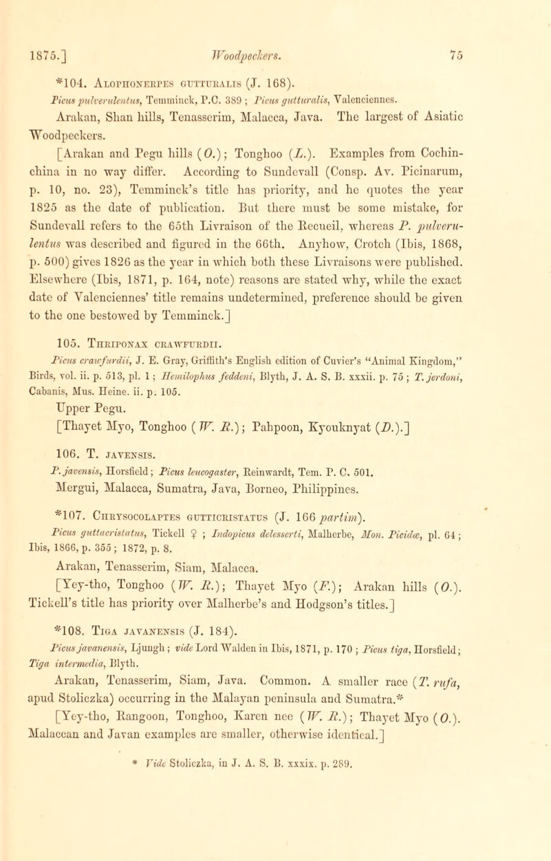 *104. Axophonerpes guttubalis (J. 168). Ficus pulverulentus, Temminck, P.C. 389 ; Ficus gutturalis, Valenciennes. Araknn, Shan hills, Tenasscrim, Malacca, Java. The largest of Asiatic Woodpeckers. [Arakan and Pegu hills (0.); Tonghoo (A.). Examples from Cochin- china in no way differ. According to Sundevall (Consp. Av. Picinarum, p. 10, no. 23), Temminck’s title has priority, and he quotes the year 1825 as the date of publication. But there must bo some mistake, for Sundevall refers to the 65th Livraison of the Recueil, whereas P. pulveru¬ lentus was described and figured in the 66th. Anyhow, Crotch (Ibis, 1868, p. 500) gives 1826 as the year in which both these Livraisons were published. Elsewhere (Ibis, 1871, p. 164, note) reasons are stated why, while the exact date of Valenciennes’ title remains undetermined, preference should be given to the one bestowed by Temminck.] 105. Thkitoxax ceawfuebii. Ficus craufurdii, J. E. Gray, Griffith’s English edition of Cuvier’s “Animal Kingdom,” Birds, vol. ii. p. .513, pi. 1; Hcmilophus feddeni, Blyth, J. A. S. B. xxxii. p. 75 ; T.jerdoni, Cabanis, Mus. Heine, ii. p. 105. Upper Pegu. [Thayet Myo, Tonghoo (TV. R.)-, Pahpoon, Kyouknyat (A.).] 106. T. JAVENSIS. F.javensis, Horsfield; Ficus leucogaster, Keinwardt, Tem. P. C. 501. Mergui, Malacca, Sumatra, Java, Borneo, Philippines. *107. Cheysocolaptes gutticbistatus (J. 166 partim). Ficus guttacristatus, Tickell ? ; Indopicus delesserti, Malherbe, Mon. Picidcc, pi. G4; Ibis, 1866, p. 355; 1872, p. 8. Arakan, Tenasserim, Siam, Malacca. [Yey-tho, Tonghoo (IF. R.)- Thayet Myo (id); Arakan hills (O.). Tickell’s title has priority over Malherbe’s and Hodgson’s titles.] *108. Tiga javanensis (J. 184). Ficus javanensis, Ljuugli; vide Lord Walden in Ibis, 1871, p. 170 ; Ficus liga, Horsfield; Tiga intermedia, Blyth. Arakan, Tenasserim, Siam, Java. Common. A smaller race (T. rufa, apud Stoliczka) occurring in the Malayan peninsula and Sumatra.* [Yey-tho, Rangoon, Tonghoo, Karen nee (W. R.); Thayet Myo (0.). Malaccan and Javan examples are smaller, otherwise identical.] * Fide Stoliczka, in J. A. S. B. xxxix. p. 289.