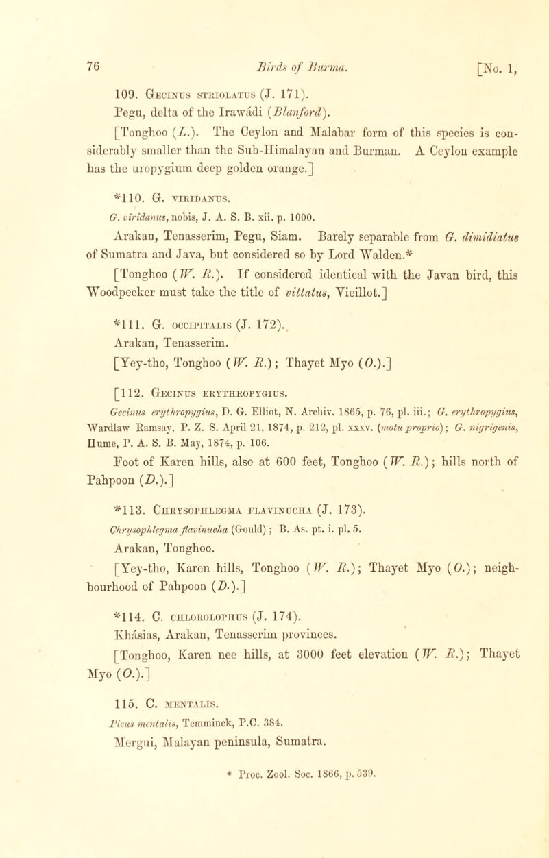 109. Gecinus striolatus (J. 171). Pegu, delta of the Ira wadi (Blanford). [Tonghoo (L.). The Ceylon and Malabar form of this species is con¬ siderably smaller than the Sub-Himalayan and Human. A Ceylon example has the uropygium deep golden orange.] *'110. G. VIRIBANIJS. G. viridanus, nobis, J. A. S. B. xii. p. 1000. Arakan, Tenasserim, Pegu, Siam. Barely separable from G. dimidiatus of Sumatra and Java, but considered so by Lord Walden.*' [Tonghoo (W. B.). If considered identical with the Javan bird, this Woodpecker must take the title of vittatus, Yieillot.] *111. G. occipitalis (J. 172). Arakan, Tenasserim. [Yey-tho, Tonghoo ( W. B.)\ Thayct Myo (O.).] [112. Gecinhs erythropygius. Gecinus erythropygius, D. G. Elliot, N. Archiv. 1865, p. 76, pi. iii.; G. erythropygius, Wardlaw Kamsay, P. Z. S. April 21, 1874, p. 212, pi. xxxv. {motu proprio); G. nigrigenis, Hume, T. A. S. B. May, 1874, p. 106. Foot of Karen hills, also at 600 feet, Tonghoo (7F. B.); hills north of Pahpoon (Z).).] *113. ChRYSOPHLEGHA FLAVINUCHA (J. 173). Chrysophlegma flavinuclia (Gould); B. As. pt. i. pi. 5. Arakan, Tonghoo. [Yey-tho, Karen hills, Tonghoo (W. B.); Thayet Myo (O.); neigh¬ bourhood of Pahpoon (Z>.).] *114. C. cnLOROLornus (J. 174). Khasias, Arakan, Tenasserim provinces. [Tonghoo, Karen nee hills, at 3000 feet elevation (W. B.); Thayct Myo (O.).] 115. C. MENTALIS. Ficus mentalis, Temminck, P.C. 384. Mergui, Malayan peninsula, Sumatra. * Troc. Zool. Soc. 1866, p. 539.