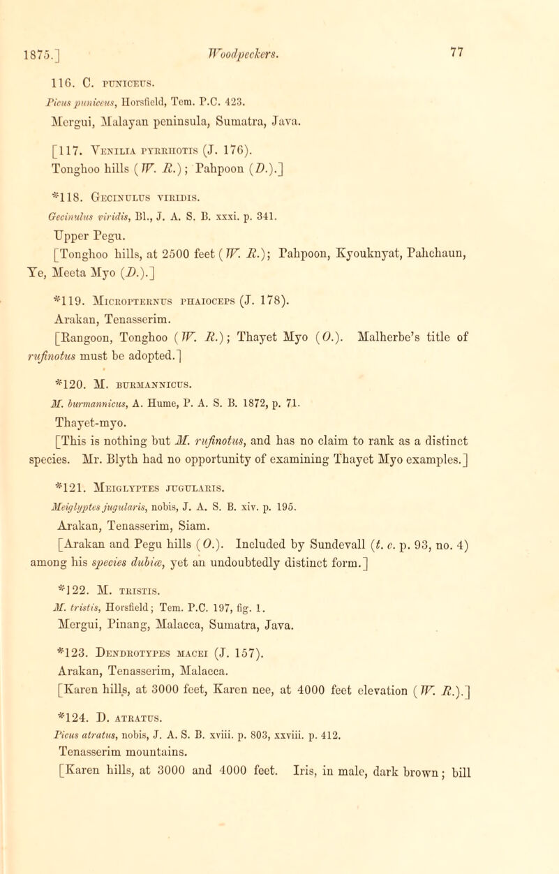 11G. C. PUNICETTS. Ficus puniceus, Ilorsficld, Tcm. P.C. 423. Mergui, Malayan peninsula, Sumatra, Java. [117. Venilia pyeeuotis (J. 176). Tonghoo hills (W. it.); Pahpoon (7).).] *118. Gecinttltts yibidis. Oecinulus viridis, Bl., J. A. S. B. xxxi. p. 341. Upper Pegu. [Tonghoo hills, at 2500 feet (W. II.); Tahpoon, Kyouknyat, Pahchaun, Te, Mceta Myo (2).).] *119. Miceoptebnus phaioceps (J. 178). Arakan, Tenasserim. [Rangoon, Tonghoo {W. It.); Thayet Myo (0.). Malherbe’s title of rufinotus must he adopted.] *120. M. BTJEMAXNICUS. M. burmannicus, A. Hume, P. A. S. B. 1872, p. 71. Thayet-myo. [This is nothing but If. rufinotus, and has no claim to rank as a distinct species. Mr. Blyth had no opportunity of examining Thayet Myo examples.] *121. Meiglyptes jugulabis. Meiglyptes jugularis, nobis, J. A. S. B. xiv. p. 195. Arakan, Tenasserim, Siam. [Arakan and Pegu hills (0.). Included by Sundevall (t. c. p. 93, no. 4) among his species dubicc, yet an undoubtedly distinct form.] *122. M. TEISTIS. M. tristis, norsfield; Tem. P.C. 197, fig. 1. Mergui, Pinang, Malacca, Sumatra, Java. *123. Dendeotypes macei (J. 157). Arakan, Tenasserim, Malacca. [Karen hills, at 3000 feet, Karen nee, at 4000 feet elevation (W. A!.).] *124. D. ATEATUS. Ficus atratus, nobis, J. A. S. B. xviii. p. 803, xxviii. p. 412. Tenasserim mountains. [Karen hills, at 3000 and 4000 feet. Iris, in male, dark brown; bill