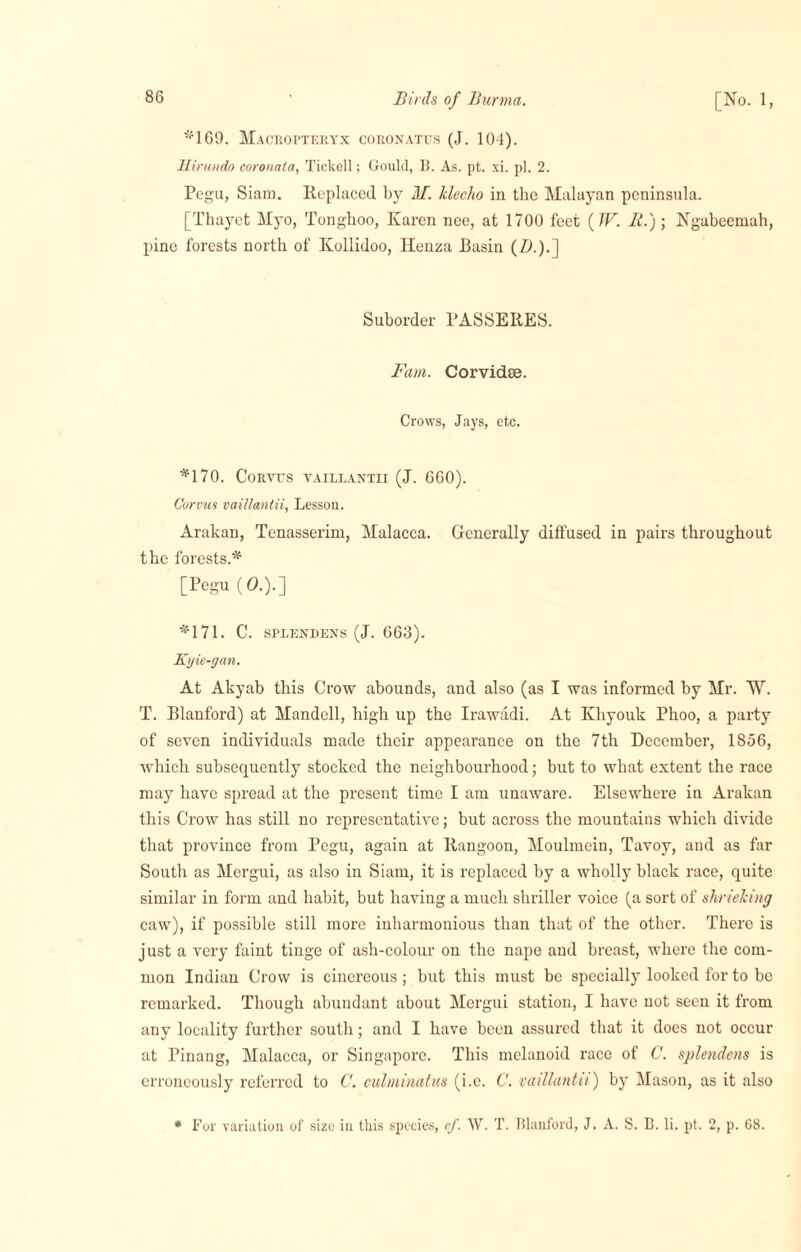 •‘‘169. Macropteryx coronatus (J. 104). Hirundo coronata, Tiokell; Goulcl, B. As. pt. xi. pi. 2. Pegu, Siam. Replaced by M. klec/to in the Malayan peninsula. [Thayet Myo, Tonghoo, Karen nee, at 1700 feet (IF. It.); Ngabeemah, pine forests north of Kollidoo, Henza Basin (Zb).] Suborder PASSERES. Fam. Corvidse. Crows, Jays, etc. *170. Corves vaillantii (J. 660). Corvus vaillantii, Lesson. Arakan, Tenasserim, Malacca. Generally diffused in pairs throughout the forests.* [Pegu (O.).] *171. C. SPLENDENS (J. 663). Kyie-gan. At Akyab this Crow abounds, and also (as I was informed by Mr. W. T. Blanford) at Mandell, high up the Irawadi. At Kliyouk Phoo, a party of seven individuals made their appearance on the 7th December, 1856, which subsequently stocked the neighbourhood; but to what extent the race may have spread at the present time I am unaware. Elsewhere in Arakan this Crow has still no representative; but across the mountains which divide that province from Pegu, again at Rangoon, Moulmein, Tavoy, and as far South as Mergui, as also in Siam, it is replaced by a wholly black race, quite similar in form and habit, but having a much shriller voice (a sort of shrieking caw), if possible still more inharmonious than that of the other. There is just a very faint tinge of ash-colour on the nape and breast, where the com¬ mon Indian Crow is cinereous ; but this must be specially looked for to be remarked. Though abundant about Mergui station, I have not seen it from any locality further south; and I have been assured that it does not occur at Pinang, Malacca, or Singapore. This melanoid race of C. splendens is erroneously referred to C. culminatus (i.e. C. vaillantii) by Mason, as it also * For variation of size in this species, cf. W. T. Blanford, J. A. S. B. li. pt. 2, p. 68.