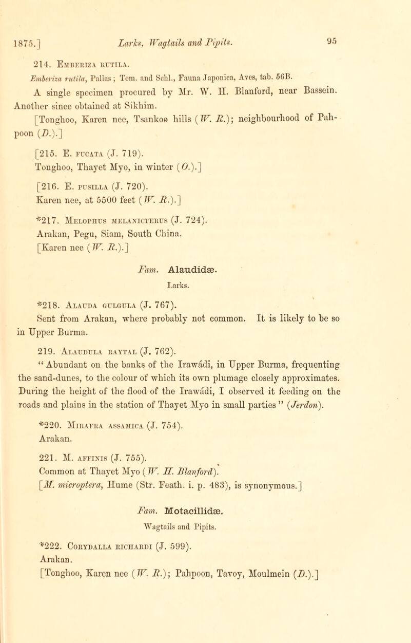 1875.] Larks, Wagtails and Pipits. 214. Emberiza rutila. Emberiza, rutila, Pallas; Tem. and Selil., Fauna Japonica, Avcs, tab. 6GB. A single specimen procured by Mr. W. H. Blanford, near Bassein. Another since obtained at Sikhim. [Tongboo, Karen nee, Tsankoo hills (W. R.)] neighbourhood of Pah- poon (Zb).] [215. E. fucata (J. 719). Tonghoo, Thayet Myo, in winter (0.).] [216. E. pesill a (J. 720). Karen nee, at 5500 feet (W. 72.).] *217. Melophus el ax icterus (J. 724). Arakan, Pegu, Siam, South China. [Karen nee (W. A.).] Fam. Alaudidse- Larks. *218. Alauda gulgula (J. 767). Sent from Arakan, where probably not common. It is likely to be so in Upper Burma. 219. Alaudula rattal (J. 762). “Abundant on the banks of the Irawadi, in Upper Burma, frequenting the sand-dunes, to the colour of which its own plumage closely approximates. During the height of the flood of the Irawadi, I observed it feeding on the roads and plains in the station of Thayet Myo in small parties ” (Jerdon). *220. Mirafra assamica (J. 754). Arakan. 221. M. affinis (J. 755). Common at Thayet Myo ( W. II. Blanford). \M. microptera, Hume (Str. Feath. i. p. 483), is synonymous.] Fam. Motacillidae. Wagtails and Pipits. *222. Corydalla riciiardi (J. 599). Arakan. [Tonghoo, Karen nee (W. R.); Pahpoon, Tavoy, Moulmein (-£>.).]