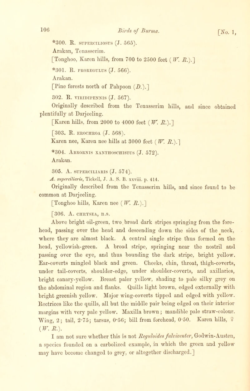 *300. R. stjperciliosus (J. 565). Arakan, Tcnasserim. [Tonghoo, Karen hills, from 700 to 2500 feet ( TV. A.).] *301. R. proregulus (J. 566). Arakan. [Pine forests north of Pahpoon (Zb).] 302. R. VIRIDIPENNIS (J. 567). Originally described from the Tenasserim hills, and since obtained plentifully at Darjeeling. [Karen hills, from 2000 to 4000 feet {TV. A.).] [303. R. erochroa (J. 568). Karen nee, Karen nee hills at 3000 feet ( TV. A.).] *304. Abrornis xanthoschistus (J. 572). Arakan. 305. A. stjperciliaris (J. 574). A. superciliaris, Tickell, J. A. S. B. xxviii. p. 414. Originally described from the Tenasserim hills, and since found to be common at Darjeeling. [Tonghoo hills, Karen nee ( TV. Z2.).] [306. A. chrysea, n.s. Above bright oil-green, two broad dark stripes springing from the fore¬ head, passing over the head and descending down the sides of the neck, where they are almost black. A central single stripe thus formed on the head, yellowish-green. A broad stripe, springing near the nostril and passing over the eye, and thus bounding the dark stripe, bright yellow. Ear-coverts mingled black and green. Cheeks, chin, throat, thigh-coverts, under tail-coverts, shoulder-edge, under shoulder-coverts, and axillaries, bright canary-yellow. Breast paler yellow, shading to pale silky grey on the abdominal region and flanks. Quills light brown, edged externally with bright greenish yellow. Major wing-coverts tipped and edged with yellow. Rectrices like the quills, all but the middle pair being edged on their interior margins with very pale yellow. Maxilla brown ; mandible pale straw-colour. Wing, 2; tail, 2-75; tarsus, 0-56; bill from forehead, 0-50. Karen hills, ? (TV. B.). I am not sure whether this is not Reguloides fulviventer, Godwin-Austen, a species founded on a carbolized example, in which the green and yellow may have become changed to grey, or altogether discharged.]