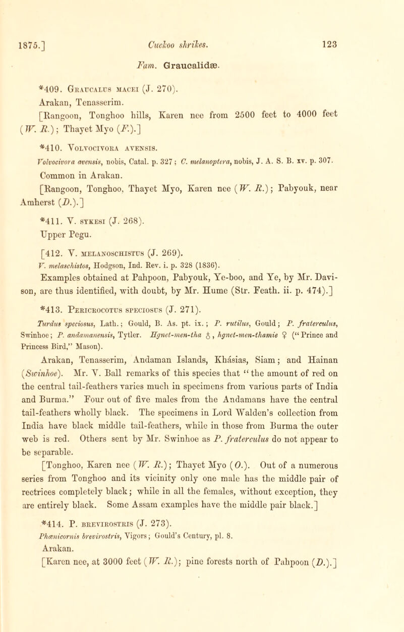 1875.] Fctm. Graucalidse. *409. Gkaucalus macei (J. 270). Arakan, Tenasserim. [Rangoon, Tonghoo hills, Karen nee from 2500 feet to 4000 feet ( TVR.)\ Thayet Myo (Al).] *410. Yolvocivora avensis. Yolvocivora avensis, nobis, Catal. p. 327; C. melmoptera, nobis, J. A. S. B. xv. p. 307- Common in Arakan. [Rangoon, Tonghoo, Thayet Myo, Karen nee (TP. R.); Rabyouk, near Amherst (Z>.).] *411. V. sykesi (J. 268). Upper Pegu. [412. Y. MELANOSCHISTTJS (J. 269). V. melaschistos, Hodgson, Ind. Rev. i. p. 328 (1836). Examples obtained at Pahpoon, Pabyouk, Ye-boo, and Ye, by Mr. Davi¬ son, are thus identified, with doubt, by Mr. Hume (Str. Feath. ii. p. 474).] *413. Pericrocotus speciostts (J. 271). Turdus speciosus, Lath.; Gould, B. As. pt. ix.; P. rutilus, Gould; P. fratereulus, Swinhoe; P. andamanensis, Tytler. Hgnet-men-tha J , hgnct-men-thamie ? (“ Prince and Princess Bird,” Mason). Arakan, Tenasserim, Andaman Islands, Khasias, Siam; and Hainan (Swinhoe). Mr. Y. Ball remarks of this species that “ the amount of red on the central tail-feathers varies much in specimens from various parts of India and Burma.” Four out of five males from the Andamans have the central tail-feathers wholly black. The specimens in Lord Walden’s collection from India have black middle tail-feathers, while in those from Burma the outer web is red. Others sent by Mr. Swinhoe as P. fratereulus do not appear to be separable. [Tonghoo, Karen nee (TP. R.)', Thayet Myo (O.). Out of a numerous series from Tonghoo and its vicinity only one male has the middle pair of rectrices completely black; while in all the females, without exception, they are entirely black. Some Assam examples have the middle pair black.] *414. P. brevirostris (J. 273). Phcenicornis brevirostris, Vigors; Gould’s Century, pi. 8. Arakan. [Karen nee, at 3000 feet (TP. R.)\ pine forests north of Pahpoon (D.).]