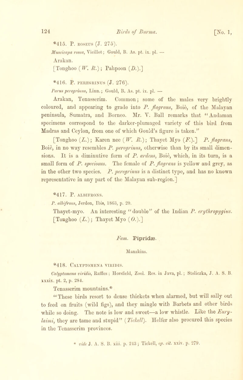 *415. P. rosees (J. 275). Muscicapa rosea, Vieillot; Gould, B. As. pt. ix. pi. — Arakan. [Tonghoo (W. R.); Pahpoon (21.).] *416. P. peregrines (J. 276). Farus peregrinus, Linn.; Gould, B. As. pt. ix. pi. — Arakan, Tenasscrim. Common; some of the males very brightly coloured, and appearing to grade into P. flagrans, Boie, of the Malayan peninsula, Sumatra, and Borneo. Mr. Y. Ball remarks that “Andaman specimens correspond to the darker-plumaged variety of this bird from Madras and Ceylon, from one of which Gould’s figure is taken.” [Tonghoo (X.); Karen nee (W. R.)\ Thayet Myo (X.).] P. flagrans, Boie, in no way resembles P. peregrinus, otherwise than by its small dimen¬ sions. It is a diminutive form of P. ardens, Boie, which, in its turn, is a small form of P. speciosus. The female of P. flagrans is yellow and grey, as in the other two species. P. peregrinus is a distinct type, and has no known representative in any part of the Malayan sub-region.] *417. P. ALBIFRONS. P. albifrons, Jerdon, Ibis, 1863, p. 20. Thayet-myo. An interesting “double” of the Indian P. erythropygius. [Tonghoo (X.); Thayet Myo (X.).] Pam. Pipridse. Manakins. *418. Calyptomena viridis. Calyptomena viridis, Raffles; Horsfield, Zool. Res. in Java, pi.; Stoliczka, J. A. S. B. xxxix. pt. 2, p. 284. Tenasserim mountains.* “These birds resort to dense thickets when alarmed, but will sally out to feed on fruits (wild figs), and they mingle with Barbets and other birds while so doing. The note is low and sweet—a low whistle. Like the Eary- laimi, they are tame and stupid” (Tickell). Heifer also procured this species in the Tenasserim provinces. * vide J. A. S. B. xiii. p. 213; Tickell, op. oil. xxiv. p. 279.