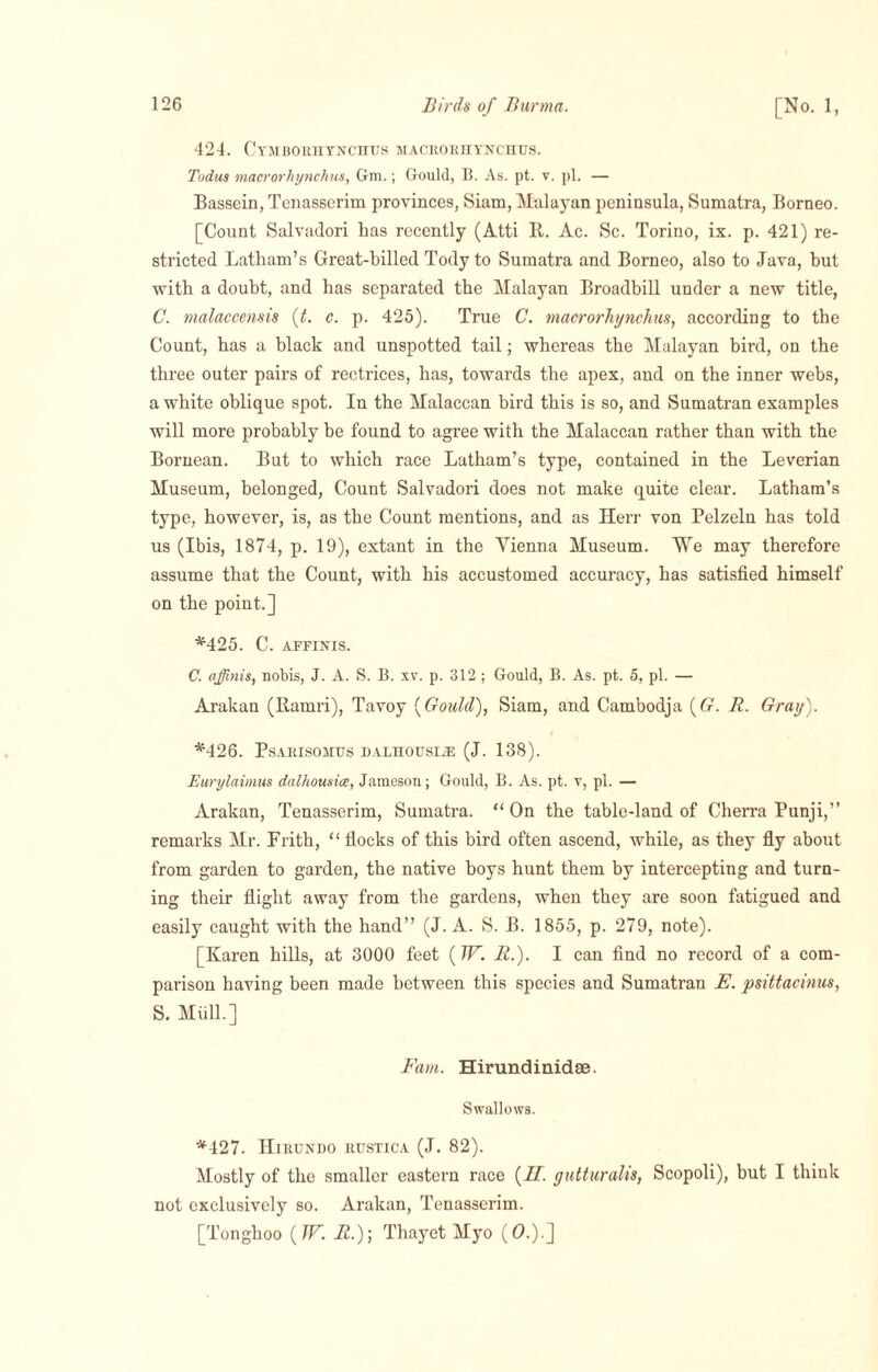 424. Cymborhynchus macrorhynchus. Todus macrorhynchus, Gm.; Gould, B. As. pt. v. pi. — Bassein, Tenasscrim provinces, Siam, Malayan peninsula, Sumatra, Borneo. [Count Salvadori has recently (Atti It. Ac. Sc. Torino, ix. p. 421) re¬ stricted Latham’s Great-billed Tody to Sumatra and Borneo, also to Java, but with a doubt, and has separated the Malayan Broadbill under a new title, C. malaccensis (t. c. p. 425). True C. macrorhynchus, according to the Count, has a black and unspotted tail; whereas the Malayan bird, on the three outer pairs of rectrices, has, towards the apex, and on the inner webs, a white oblique spot. In the Malaccan bird this is so, and Sumatran examples will more probably be found to agree with the Malaccan rather than with the Bornean. But to which race Latham’s type, contained in the Leverian Museum, belonged, Count Salvadori does not make quite clear. Latham’s type, however, is, as the Count mentions, and as Herr von Pelzeln has told us (Ibis, 1874, p. 19), extant in the Vienna Museum. We may therefore assume that the Count, with his accustomed accuracy, has satisfied himself on the point.] *425. C. AFFINIS. C. affinis, nobis, J. A. S. B. xv. p. 312; Gould, B. As. pt. 5, pi. — Arakan (Ramri), Tavoy (Gould), Siam, and Cambodja (G. R. Gray). *426. PsARISOMUS DALHOUSIiE (J. 138). Eurylaimus dalhousice, Jameson; Gould, B. As. pt. v, pi. — Arakan, Tenasserim, Sumatra. “On the table-land of Cherra Punji,” remarks Mr. Frith, “ flocks of this bird often ascend, while, as they fly about from garden to garden, the native boys hunt them by intercepting and turn¬ ing their flight away from the gardens, when they are soon fatigued and easily caught with the hand” (J. A. S. B. 1855, p. 279, note). [Karen hills, at 3000 feet (W. R.). I can find no record of a com¬ parison having been made between this species and Sumatran E. psittacinus, S. Mull.] Fam. Hirundinidse. Swallows. *427. JIlRUNDO EUSTICA (J. 82). Mostly of the smaller eastern race (IT. gutturalis, Scopoli), but I think not exclusively so. Arakan, Tenasserim. [Tonghoo (JV. R.)\ Thayet Myo (0.).]