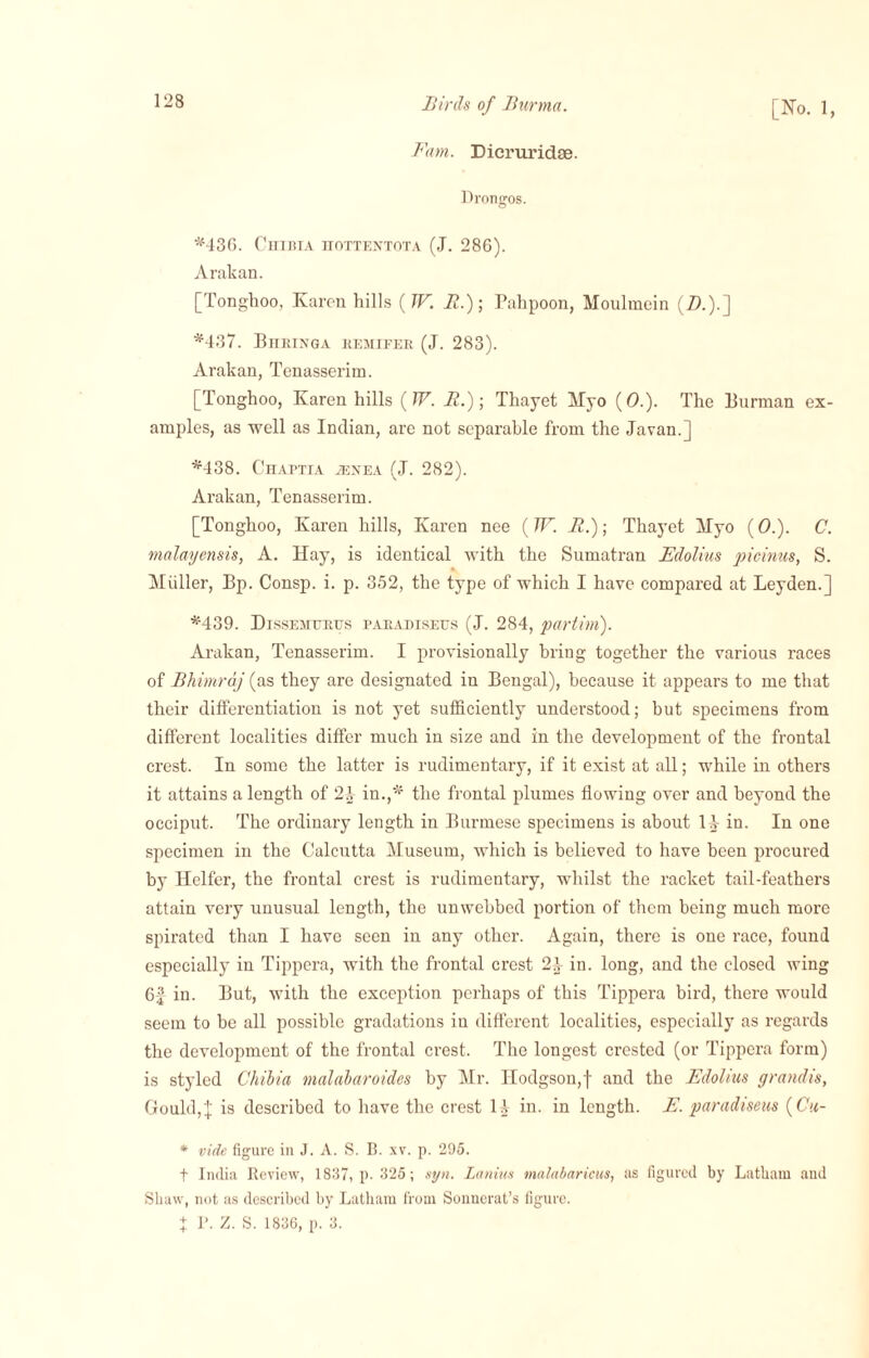 Fam. Dicruridse. Drongos. *436. CmniA hottentota (J. 286). Arakan. [Tonghoo, Karon hills {TV. it.); Pahpoon, Moulmein (Z>.).] *437. Bhrinqa remifer (J. 283). Arakan, Tenasserim. [Tonghoo, Karen hills (TV. R.) ■, Thayet Myo (0.). The Burraan ex¬ amples, as well as Indian, are not separable from the Javan.] *438. Chaptia asnea (J. 282). Arakan, Tenasserim. [Tonghoo, Karen hills, Karen nee (W. R.); Thayet Myo (0.). C. malayensis, A. Hay, is identical with the Sumatran Edolius picinus, S. Muller, Bp. Consp. i. p. 352, the type of which I have compared at Leyden.] *439. Dissemitrus paradiseus (J. 284, partim). Arakan, Tenasserim. I provisionally bring together the various races of Bhimraj (as they are designated in Bengal), because it appears to me that their differentiation is not yet sufficiently understood; but specimens from different localities differ much in size and in the development of the frontal crest. In some the latter is rudimentary, if it exist at all; while in others it attains a length of 2.1 in.,* the frontal plumes flowing over and beyond the occiput. The ordinary length in Burmese specimens is about in. In one specimen in the Calcutta Museum, which is believed to have been procured by Heifer, the frontal crest is rudimentary, whilst the racket tail-feathers attain very unusual length, the unwebbed portion of them being much more spirated than I have seen in any other. Again, there is one race, found especially in Tippera, with the frontal crest 2^ in. long, and the closed wing Gf in. But, with the exception perhaps of this Tippera bird, there would seem to be all possible gradations in different localities, especially as regards the development of the frontal crest. The longest crested (or Tippera form) is styled Chibia malalaroides by Mr. Hodgson,f and the Edolius grandis, Gould,J is described to have the crest 14 in. in length. E. paradiseus (Cu- * vide figure ill J. A. S. 13. xv. p. 295. f India Review, 18137, p. 325; syn. Lanias malabaricus, as figured by Latham and Shaw, not as described by Latham from Sonnerat’s figure. + P. Z. S. 1836, p. 3.