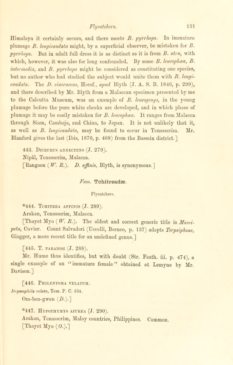 Himalaya it certainly occurs, and there meets B. pyrrliops. In immature plumage B. longicaudata might, hy a superficial observer, he mistaken for B. pyrrhops. Hut in adult full dress it is as distinct as it is from B. atra, with which, however, it was also for long confounded. By some B. leucopluca, B. intermedia, and B. pyrrhops might be considered as constituting one species, but no author who had studied the subject would unite them with B. longi¬ caudata. The D. cineraceus, Horsf., apud Blyth (J. A. S. B. 1846, p. 299), and there described by Hr. Blyth from a Malaccan specimen presented by me to the Calcutta Museum, was an example of B. leucogenys, in the young plumage before the pure white cheeks are developed, and in which phase of plumage it may be easily mistaken for B. leucoplicea. It ranges from Malacca through Siam, Camboja, and China, to Japan. It is not unlikely that it, as well as B. longicaudata, may be found to occur in Tenasserim. Mr. Blanford gives the last (Ibis, 1870, p. 468) from the Bassein district.] 443. DlCBTJEIXS ANNECTENS (J. 279). Nipal, Tenasserim, Malacca. [Rangoon (TF. R.). D. affinis, Blyth, is synonymous.] Fam. Tchitreadse. Flycatchers. *444. Tchiteea affinis (J. 289). Arakan, Tenasserim, Malacca. [Thayet Myo (W. R.). The oldest and correct generic title is Musci- peta, Cuvier. Count Salvadori (Uccelli, Borneo, p. 137) adopts Terpsiphone, Glogger, a more recent title for an undefined genus.] [445. T. pabadisi (J. 288). Mr. Hume thus identifies, but with doubt (Str. Feath. iii. p. 474), a single example of an “immature female” obtained at Lemyne by Mr. Davison.] [446. Philentoma velatum. Lrymophila velata, Tem. P. C. 334. Om-ben-gwen (D.).~\ *447. Hypothymys azueea (J. 290). Arakan, Tenasserim, Malay countries, Philippines. Common. [Thayet Myo (0.).]