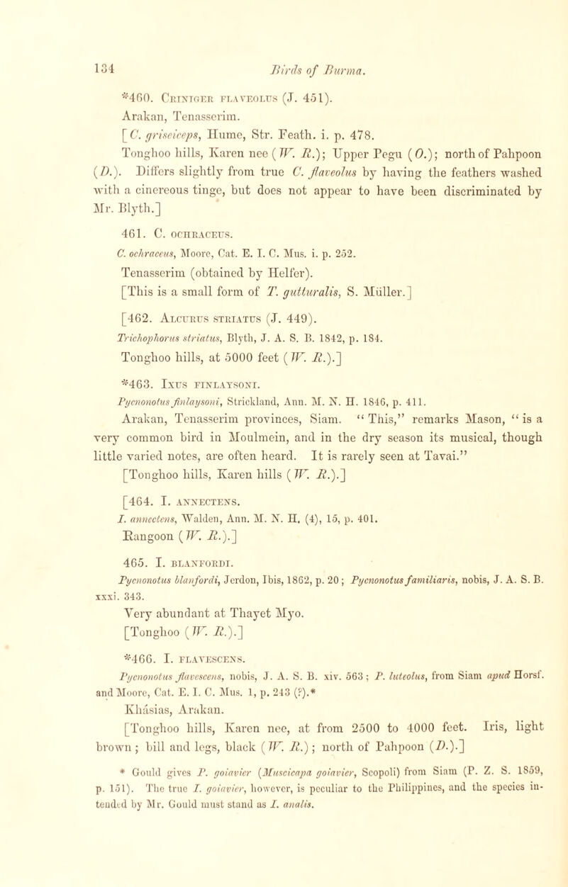 *460. Criniger flaveolus (J. 451). Arakan, Tenasserim. \_C. griseiceps, Hume, Str. Feath. i. p. 478. Tonghoo hills, Karen nee ( TF. R.); Upper Pegu (0.); north of Palipoon (/).). Differs slightly from true C. flaveolus by having the feathers washed with a cinereous tinge, but does not appear to have been discriminated by Mr. Blyth.] 461. C. OCHRACEtTS. C. ocliraceus, Moore, Cat. E. I. C. Mus. i. p. 252. Tenasserim (obtained by Heifer). [This is a small form of T. gutturalis, S. Muller.] [462. Alcfrtts striatus (J. 449). Trichophorus striatus, Blyth, J. A. S. B. 1842, p. 184. Tonghoo hills, at 5000 feet (TF. it.).] *463. Ixrs FixLAYsoxr. Pycnonotus finlaysoni, Strickland, Ann. M. X. H. 1846, p. 411. Arakan, Tenasserim provinces, Siam. “ This,” remarks Mason, “ is a very common bird in Moulmein, and in the dry season its musical, though little varied notes, are often heard. It is rarely seen at Tavai.” [Tonghoo hills, Karen hills ( TF. A.).] [464. I. ANNECTENS. I. annectens, Walden, Ann. M. N. H, (4), 15, p. 401. Rangoon ( TF. -S.).] 465. I. BLANFORBI. Pycnonotus blanforcli, Jerdon, Ibis, 1862, p. 20 ; Pycnonotus familiaris, nobis, J. A. S. B. xxxi. 343. Very abundant at Thayet Myo. [Tonghoo (TF. it.).] *466. I. FLAA'ESCENS. Pycnonotus Jlavescens, nobis, J. A. S. B. xiv. 563; P. luteolus, from Siam apuci Horsl. and Moore, Cat. E. I. C. Mus. 1, p. 243 (?).* Khasias, Arakan. [Tonghoo hills, Karen nee, at from 2500 to 4000 feet. Iris, light brown ; bill and legs, black (TF. R.); north of Pahpoon (ib)-] * Gould gives P. yoiavicr (Muscicapa yoiavier, Scopoli) from Siam (P. Z. S. 1859, p. 151). The true J. yoiavier, however, is peculiar to the Philippines, and the species in¬ tended by Mr. Gould must stand as I. analis.