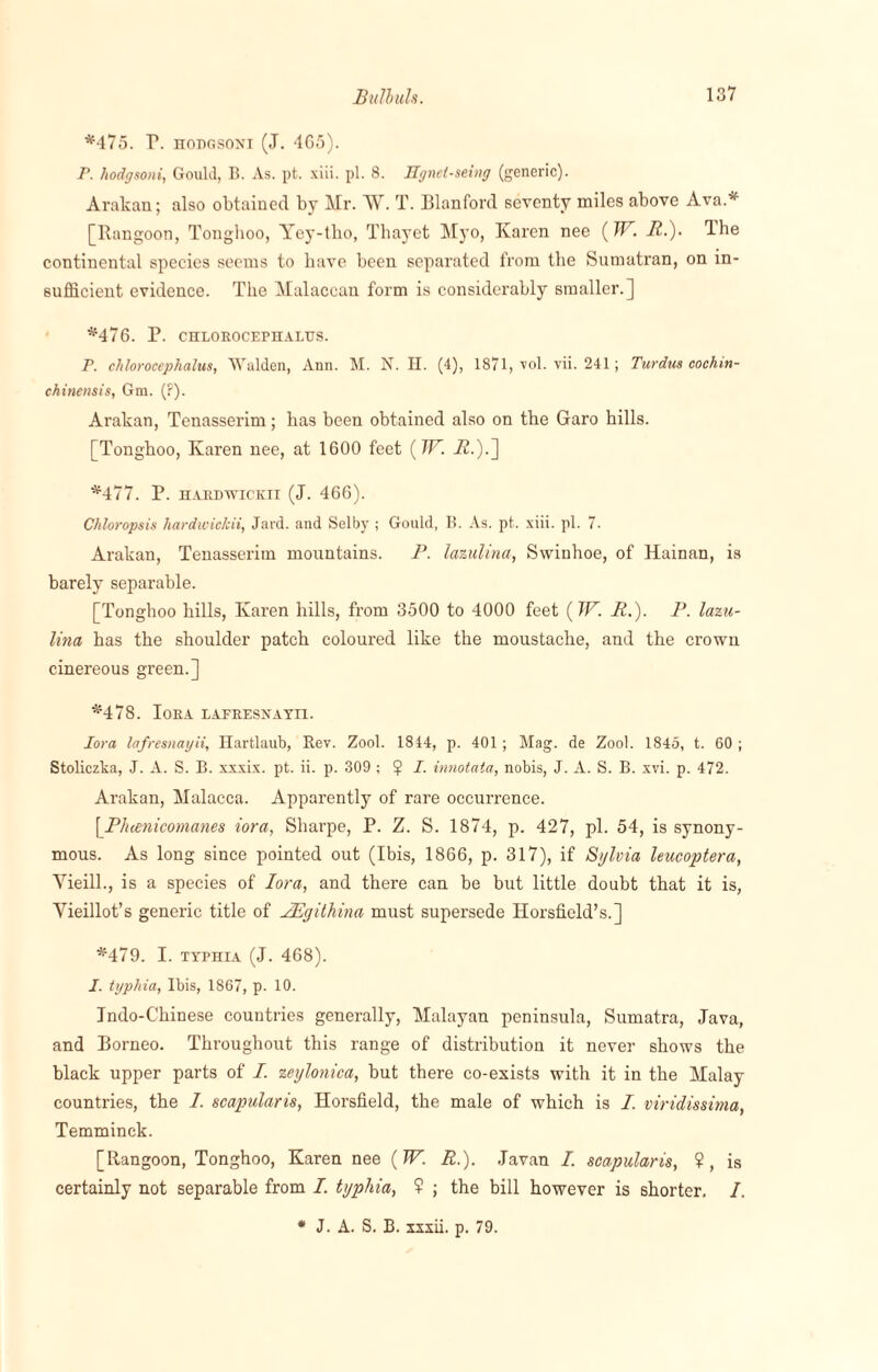 *475. P. hodgsoni (J. 4G5). P. hodgsoni, Gould, B. As. pt. xiii. pi. 8. Hgncl-seing (generic). Arakan; also obtained by Mr. W. T. Blanford seventy miles above Ava* [Rangoon, Tonghoo, Ycy-tlio, Thayet Myo, Karen nee {W. B.). The continental species seems to have been separated from the Sumatran, on in¬ sufficient evidence. The Malaccan form is considerably smaller.] *476. P. CHLOROCEPHALTJS. P. chloroccphalus, Walden, Ann. M. N. H. (4), 1871, vol. vii. 241; Turdua cochm- chinensis, Gm. (P). Arakan, Tenasserim; has been obtained also on the Garo hills. [Tonghoo, Karen nee, at 1600 feet (TT. A.).] *477. P. HARDWICKII (J. 466). Chloropsis hardwickii, Jard. and Selby ; Gould, B. As. pt. xiii. pi. 7. Arakan, Tenasserim mountains. P. lazulina, Swinhoe, of Hainan, is barely separable. [Tonghoo hills, Karen hills, from 3500 to 4000 feet (IF. B.). P. lazu¬ lina has the shoulder patch coloured like the moustache, and the crown cinereous green.] *478. IORA 1AFRESNAYI1. Iora lafremayii, Hartlaub, Rev. Zool. 1844, p. 401; Mag. de Zool. 1845, t. 60; Stoliczka, J. A. S. B. xxxix. pt. ii. p. 309 ; ? I. innotata, nobis, J. A. S. B. xvi. p. 472. Arakan, Malacca. Apparently of rare occurrence. [.Pluenicomanes iora, Sharpe, P. Z. S. 1874, p. 427, pi. 54, is synony¬ mous. As long since pointed out (Ibis, 1866, p. 317), if Sylvia leucoptera, Vieill., is a species of Iora, and there can be but little doubt that it is, Vieillot’s generic title of JEgithina must supersede Horsfield’s.] *479. I. typhia (J. 468). I. typhia. Ibis, 1867, p. 10. Indo-Chinese countries generally, Malayan peninsula, Sumatra, Java, and Borneo. Throughout this range of distribution it never shows the black upper parts of I. zeylonica, but there co-exists with it in the Malay countries, the 1. scapularis, Horsfield, the male of which is I. viridissima, Temminck. [Rangoon, Tonghoo, Karen nee (W. B.). Javan I. scapularis, ?, is certainly not separable from I. typhia, ? ; the bill however is shorter. I.