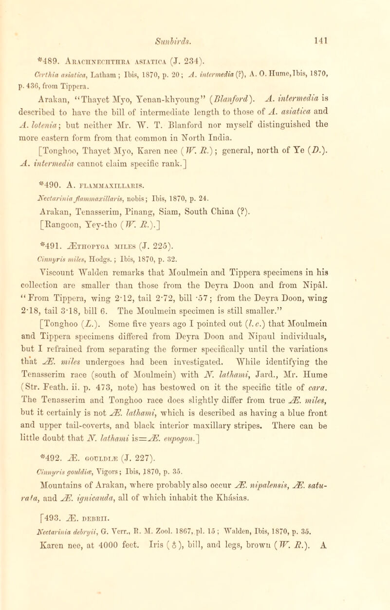 *489. Arachnechthra asiatica (J. 234). Ccrthia asiatica, Latham ; Ibis, 1870, p. 20 ; A. intermedia (?), A. 0. Hume,Ibis, 1870, p. 436, from Tippcra. Arakan, “ Thayet Myo, Yenan-khyoung” (Blanford). A. intermedia is described to have the bill of intermediate length to those of A. asiatica and A. lotenia; but neither Mr. W. T. Blanford nor myself distinguished the more eastern form from that common in North India. [Tonghoo, Thayet Myo, Karen nee (W. R.); general, north of Ye (/).). A. intermedia cannot claim specific rank.] *490. A. FLAMMAXILLARIS. Nectariniaflammaxillaris, nobis; Ibis, 1870, p. 24. Arakan, Tenasserim, Pinang, Siam, South China (?). [Rangoon, Yey-tho ( TV. 7c.).] *491. TEtHOPYGA miles (J. 225). Cinnyris miles, Hodgs.; Ibis, 1870, p. 32. Viscount Walden remarks that Moulmein and Tippera specimens in his collection are smaller than those from the Deyra Doon and from Nipal. “Prom Tippera, wing 2*12, tail 2-72, bill ‘57; from the Deyra Doon, wing 2‘18, tail 3'18, bill 6. The Moulmein specimen is still smaller.” [Tonghoo (-£.). Some five years ago I pointed out (l.c.) that Moulmein and Tippera specimens differed from Deyra Doon and Nipaul individuals, but I refrained from separating the former specifically until the variations that AE. miles undergoes had been investigated. While identifying the Tenasserim race (south of Moulmein) with N. lathami, Jard., Mr. Hume (Str. Feath. ii. p. 473, note) has bestowed on it the specific title of cara. The Tenasserim and Tonghoo race does slightly differ from true AE. miles, but it certainly is not ^E. lathami, which is described as having a blue front and upper tail-coverts, and black interior maxillary stripes. There can be little doubt that N. lathami is—AE. eupogon. ] *492. HU. oouLDiiE (J. 227). Cinnyrisgouldiee, Vigors; Ibis, 4870, p. 35. Mountains of Arakan, where probably also occur AE. nipalensis, AE. satu- rata, aud AE. ignicauda, all of which inhabit the Khasias. [493. AE. debkii. Nectarinia debryii, G. Verr., R. M. Zool. 1867, pi. 15 ; Walden, Ibis, 1870, p. 35. Karen nee, at 4000 feet. Iris (&), bill, and legs, brown (7F. R.). A