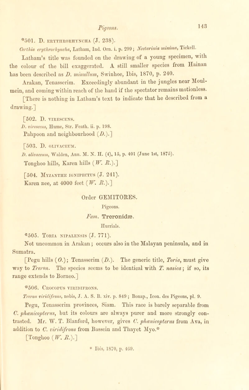 Pigeons. *501. D. ERYTHRORHYNCHA (J. 238). Cerlhia erythrorhyncha, Latham, Ind. Orn. i. p. 299; Nectarinia minima, Tickell. Latham’s title was founded on the drawing of a young specimen, with the colour of the bill exaggerated. A still smaller species from Hainan has been described as D. minullum, Swinhoe, Ibis, 1870, p. 240. Arakan, Tenasserim. Exceedingly abundant in the jungles near Moul- mein, and coming within reach of the hand if the spectator remains motionless. [There is nothing in Latham’s text to indicate that he described from a drawing.] [502. D. VIRESCENS. D. virescens, Hume, Str. Fcath. ii. p. 198. Pahpoon and neighbourhood (2?.).] [503. I). OLIYACEXXM. D. olivaceum, Walden, Ann. M. N. H. (4), 15, p. 401 (June 1st, 1875). Tonghoo hills, Karen hills ( 7F1 22.).] [504. Myzanthe ignipectus (J. 241). Karen nee, at 4000 feet (TP.. 2?.).] Order GEMITORES. Pigeons. Fam. Treronid.se. Hurrials. -f505. Toria nipalexsis (J. 771). Not uncommon in Arakan; occurs also in the Malayan peninsula, and in Sumatra. [Pegu hills (0.); Tenasserim (D.). The generic title, Toria, must give way to Treron. The species seems to be identical with T. nasica; if so, its range extends to Porneo.] *506. Crocoptjs viridifrons. Treron viridifrons, nobis, J. A. S. B. xiv. p. 849 ; Bonap., Icon, dcs Pigeons, pi. 9. Pegu, Tenasserim provinces, Siam. This race is barely separable from C. phcenicopterus, but its colours are always purer and more strongly con¬ trasted. Mr. W. T. Blanford, however, gives C. phcenicopterus from Ava, in addition to C. viridifrons from liasseiu and Thayet Myo.* [Tonghoo (7V. i2.).]