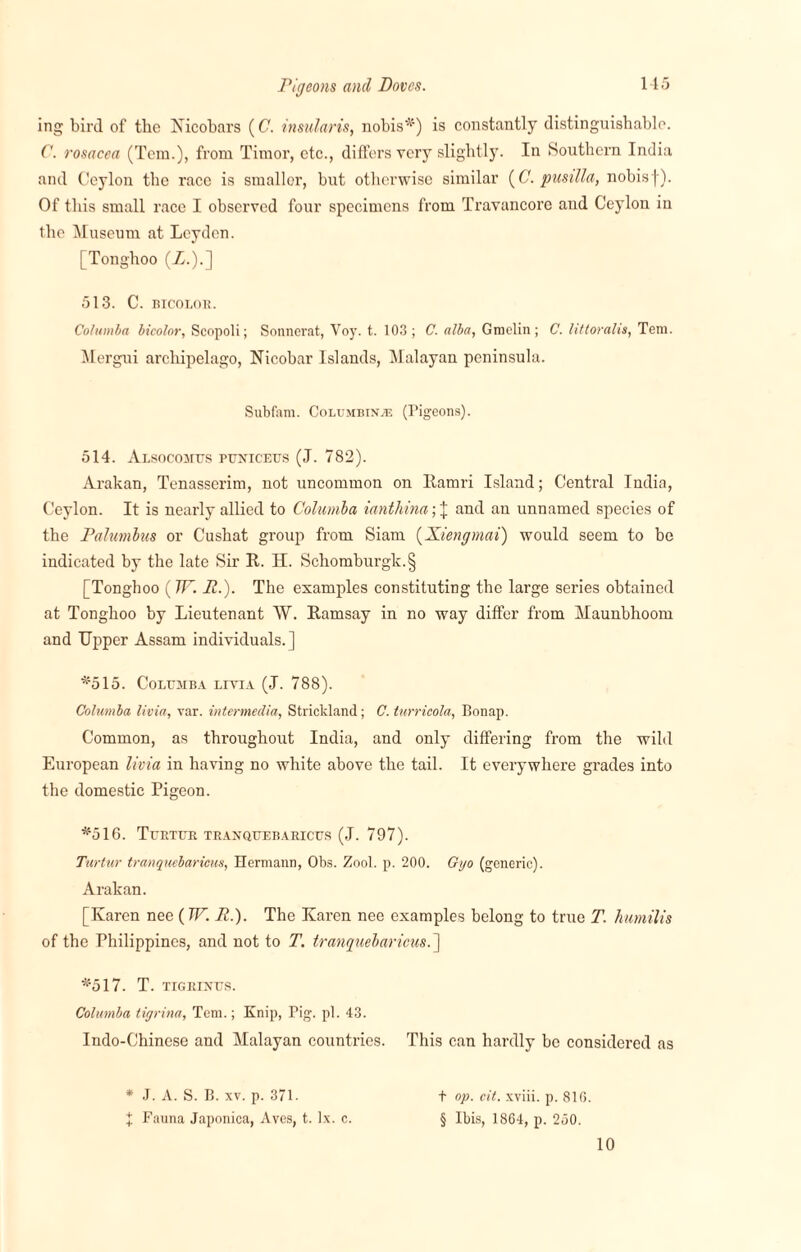 Pigeons and Doves. ing bird of the Nicobars (C. insularis, nobis*) is constantly distinguishable. C. rosacea (Tcm.), from Timor, etc., differs very slightly. In Southern India and Ceylon the race is smaller, but otherwise similar (C. pusilla, nobis j). Of this small race I observed four specimens from Travancore and Ceylon in the Museum at Leyden. [Tonghoo (Z.).] 513. C. BICOLOR. Columba bicolor, Scopoli; Sonnerat, Voy. t. 103; C. alba, Graelin; C. littoralis, Tem. Mergui archipelago, Nicobar Islands, Malayan peninsula. Subfam. Columbine (Pigeons). 514. Alsocomus puniceus (J. 782). Arakan, Tenasserim, not uncommon on Kamri Island; Central India, Ceylon. It is nearly allied to Columba ianthina; J and au unnamed species of the Palumbus or Cushat group from Siam (Xiengmai) would seem to be indicated by the late Sir It. H. Schomburgk.§ [Tonghoo (TF. P.). The examples constituting the large series obtained at Tonghoo by Lieutenant W. Ramsay in no way differ from Maunbhoom and Upper Assam individuals.] *515. Colujiba litvia (J. 788). Columba livia, var. intermedia, Strickland; C. turricola, Bonap. Common, as throughout India, and only differing from the wild Eui’opean livia in having no white above the tail. It everywhere grades into the domestic Pigeon. *516. Turtur tranquebaricus (J. 797). Turtur tranquebaricus, Hermann, Obs. Zool. p. 200. Gijo (generic). Arakan. [Karen nee (TF. Ri). The Karen nee examples belong to true T. humilis of the Philippines, and not to T. tranquebaricus.'] *517. T. TIGRINUS. Columba tigrina, Tem.; Knip, Pig. pi. 43. Indo-Chinese and Malayan countries. This can hardly be considered as * J. A. S. B. xv. p. 371. X Fauna Japonica, Aves, t. lx. c. t op. cit. xviii. p. 810. § Ibis, 1864, p. 260. 10