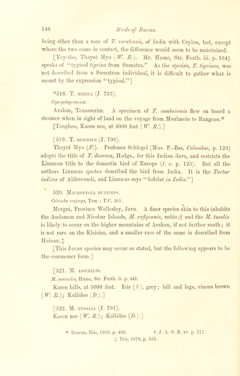 being other than a race of T. suratensis, of India with Ceylon, but, except where the two come in contact, the difference would seem to be maintained. [Ycy-tho, Thayet Myo (TV. JR.). Mr. Hume, Str. Feath. iii. p. 164) speaks of “typical tigrina from Sumatra.” As the species, T. tigrinus, was not described from a Sumatran individual, it is difficult to gather what is meant by the expression “typical.”] *518. T. meexa (J. 793). Gyo-peing- tu-ma. Arakan, Tenasserim. A specimen of T. cambaiensis flew on board a steamer when in sight of land on the voyage from Moulmein to Rangoon.* [Tonghoo, Karen nee, at 4000 feet (W. i?.).] [519. T. bisoeitjs (J. 796). Thayet Myo (F.). Professor Schlegel (Mus. P.-Bas, Cohmbae, p. 123) adopts the title of T. douraca, Hodgs., for this Indian dove, and restricts the Linmean title to the domestic bird of Europe (t. c. p. 125). But all the authors Linnaeus quotes described the bird from India. It is the Turtur indicus of Aldrovandi, and Linnaeus says “ habitat in India.”] 520. Maceopygia etificeps. Cohimba ruficeps, Tem.; P.C. 561. Mergui, Province Wellesley, Java. A finer species akin to this inhabits the Andaman and Nicobar Islands, M. rufipennis, nobis ;f and the II. tusalia is likely to occur on the higher mountains of Arakan, if not further south; it is not rare on the Khasias, and a smaller race of the same is described from Hainan. | [This Javan species may occur as stated, but the following appears to be the commoner form.] [521. M. Assniri.is. M. assimilis, Hume, Str. Feath. ii. p. 441. Karen hills, at 3000 feet. Iris (?), grey; bill and legs, vinous brown ( W. It.); Kollidoo (Z>.).] [522. M. tusalia (J. 791). Karen nee ( W. It.); Kollidoo (71.).] * Beavan, Ibis, 1869, p. 406. f J. A. S. B. xv. p. 371. j Ibis, 1870, p. 355.