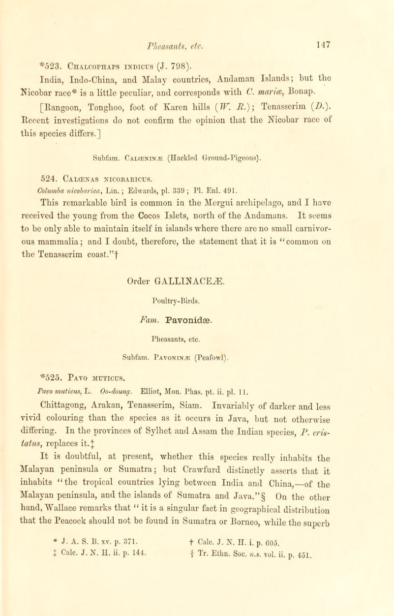 *523. Chalcophaps indicus (J. 798). India, Indo-China, and Malay countries, Andaman Islands; but tlie Nicobar race* is a little peculiar, and corresponds with C. mar ice, I3onap. [Rangoon, Tongboo, foot of Karen hills (TP. It.); Tenasserim (/).). Recent investigations do not confirm tlic opinion that the Nicobar race of this species differs.] Subfam. Caiaeninaj (Hackled Ground-Pigeons). 524. Calcenas nicobaeicus. Columba nicobarica, Lin.; Edwards, pi. 339 ; PI. Enl. 491. This remarkable bird is common in the Mergui archipelago, and I have received the young from the Cocos Islets, north of the Andamans. It seems to be only able to maintain itself in islands where there are no small carnivor¬ ous mammalia; and I doubt, therefore, the statement that it is “common on the Tenasserim coast.”f Order GALLINACE^E. Poultry-Birds. Fam. Pavonidee. Pheasants, etc. Subfam. Pavoninje (Peafowl). *525. Pavo httticus. Pavo muticus, L. Oo-doung. Elliot, Mon. I'has. pt. ii. pi. 11. Chittagong, Arakan, Tenasserim, Siam. Invariably of darker and less vivid colouring than the species as it occurs in Java, but not otherwise differing. In the provinces of Sylhet and Assam the Indian species, P. cris- tatus, replaces it.J It is doubtful, at present, whether this species really inhabits the Malayan peninsula or Sumatra; but Crawfurd distinctly asserts that it inhabits “the tropical countries lying between India and China,_of the Malayan peninsula, and the islands of Sumatra and Java.”§ On the other hand, Wallace remarks that “ it is a singular fact in geographical distribution that the Peacock should not be found in Sumatra or Borneo, while the superb * J. A. S. B. xv. p. 371. + Calc. J. N. H. ii. p. 144. t Calc. J. N. H. i. p. 605. § Tr. Etbn. Soc. n.s. vol. ii. p. 451.