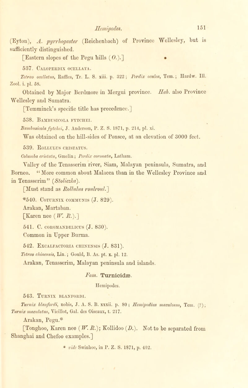 (Eyton), A. pyrrliogaster (Reiclicnbach) of Province Wellesley, but is sufficiently distinguished. [Eastern slopes of the Pegu hills (0.).] • 537. Caloperdix ocellata. Tetrao ocdlatus, Raffles, Tr. L. S. xiii. p. 322; Perdix oculca, Tem.; Hardw. Ill. Zool. i. pi. 58. Obtained by Major Berdmore in Mcrgui province. ITab. also Province Wellesley and Sumatra. [Temminck’s specific title has precedence.] 538. Bambusicola ettchei. Bambnsicola fytehei, J. Anderson, P. Z. S. 1871, p. 211, pi. xi. Was obtained on the hill-sides of Ponsee, at an elevation of 3000 feet. 539. Rollulus cristatus. Columba cristata, Gmelin; Perdix coronata, Latham. Yallcy of the Tenasserim river, Siam, Malayan peninsula, Sumatra, and Borneo. “More common about Malacca than in the Wellesley Province and in Tenasserim” (Stoliczlca). [Must stand as Rollulus roulroul.] *540. CoTURNIX COMMUNIS (J. 829). Arakan, Martaban. [Karen nee ( TV. A.).] 541. C. COROMANDELICUS (J. 830). Common in Upper Burma. 542. Excalfactoria chinensis (J. 831). Tetrao chinensis, Lin.; Gould, B. As. pt. x. pi. 12. Arakan, Tenasserim, Malayan peninsula and islands. Fan. Turnicidae. Hemipodes. 543. Turnix blaneokdi. Turnix blanfordi, nobis, J. A. S. B. xxxii. p. 80; Hemipodius maculosus, Tem. (?), Turnix maculatus, Vieillot, Gal. dcs Oiscaux, t. 217. Arakan, Pegu.* [Tonghoo, Karen nee ( TP. Ii.)-, Kollidoo (Zb). Not to be separated from Shanghai and Chefoo examples.] * vide Swinhoe, in P. Z. S. 1871, p. 402.