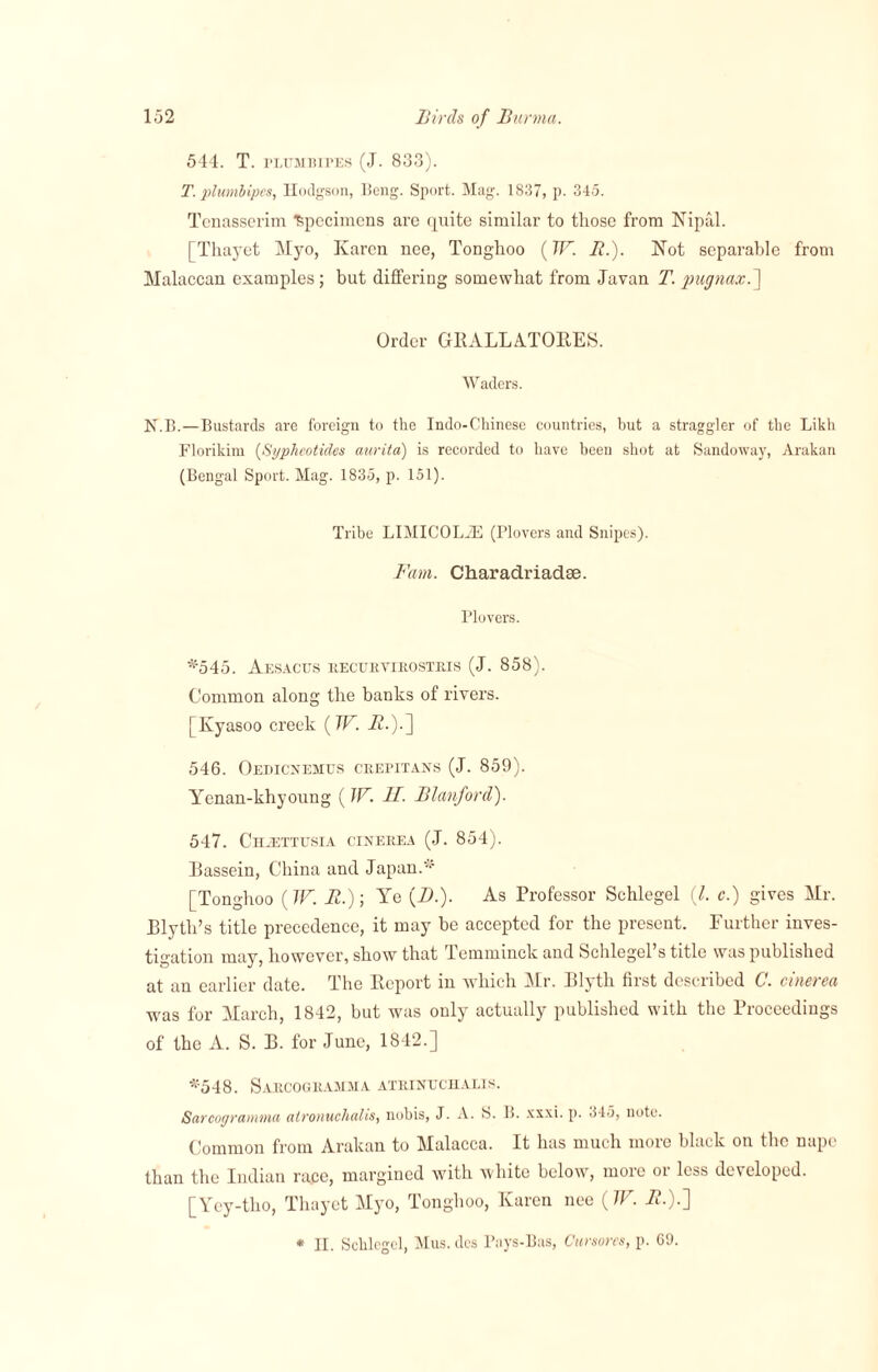 544. T. PLtiMBirES (J. 833). T. plumbipes, Hodgson, 13eng. Sport. Mag. 1837, p. 345. Tenasserim Specimens are quite similar to those from Nipal. [Tliayet Myo, Karen nee, Tonghoo (TV. R.). Not separable from Malaccan examples; but differing somewhat from Javan T. pagnaxf Order GRALLATORES. Waders. N.L.—Bustards are foreign to the Indo-Chinese countries, but a straggler of the Likh Florikim (Sypheotides aurita) is recorded to have been shot at Sandoway, Arakan (Bengal Sport. Mag. 1835, p. 151). Tribe LIMIC0L2E (Plovers and Snipes). Fam. Charadriadae. Plovers. *545. Aesacus RECUR VIROSTRIS (J. 858). Common along the banks of rivers. [Kyasoo creek (TV. A.).] 546. Oedicnehus crepitans (J. 859). Yenan-khyoung (JV. II. Blanford). 547. Chjettusia cineiiea (J. 854). Bassein, China and Japan.'-' [Tonghoo (TV. A.); Ye (D.). As Professor Schlegel (l. c.) gives Mr. Blytli’s title precedence, it may be accepted for the present. Further inves¬ tigation may, however, show that Temminck and Schlegel’s title was published at an earlier date. The Report in which Mr. Blytli first described C. cinerea was for March, 1842, but was only actually published with the Proceedings of the A. S. B. for June, 1842.] *'548. Sarcogramma atrinuchalis. Sarcogramma atronuchalis, nobis, J. A. S. B. xxxi. p. 345, note. Common from Arakan to Malacca. It has much more black on the nape than the Indian race, margined with white below, more or less developed. [Yey-tho, Tliayet Myo, Tonghoo, Karen nee (TV. A.).] * II. Schlcgcl, Mus. dcs Pays-Bas, Cursores, p. 69.