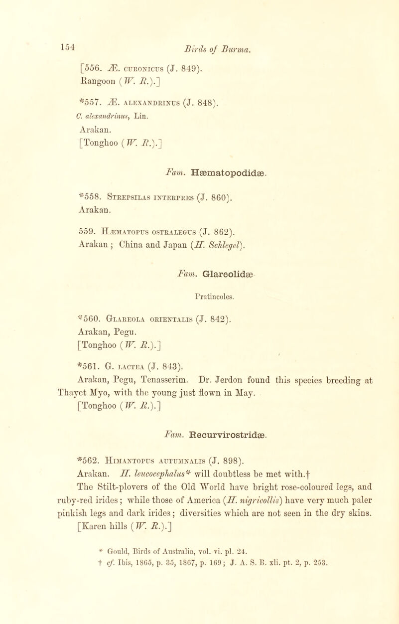 [556. IE. ctjeonicus (J. 849). Rangoon {TV. 72.).] *557. 7E. ALEXANDRINTJS (J. 848). C. alexandrinus, Lin. Arakan. [Tonghoo (TV. 7?.).] Fain. Hsematopodidse. *558. Steepsilas inteepees (J. 860). Arakan. 559. Hjematopus ostealegus (J. 862). Arakan ; China and Japan {II. Schlegel). Fain. Glareolidee Pratincoles. *560. Glaeeola oeientaxis (J. 842). Arakan, Pegu. [Tonghoo (TV. 7?.).] *561. G. i.actea (J. 843). Arakan, Pegu, Tenasserim. Dr. Jerdon found this species breeding at Thayet Myo, with the young just flown in May. [Tonghoo {TV. 72.).] Fain. Eecurvirostridse. *562. Himantopus atttumnalis (J. 898). Arakan. 77. leucocephalus* will doubtless be met with.f The Stilt-plovers of the Old World have bright rose-coloured legs, and ruby-red irides; while those of America (77. nigricollis) have very much paler pinkish legs and dark irides; diversities which are not seen in the dry skins. [Karen hills (TV. 72.).] * Gould, Birds of Australia, vol. vi. pi. 24. t cf. Ibis, 1865, p. 35, 1867, p. 169; J. A. S. B. xli. pt. 2, p. 253.