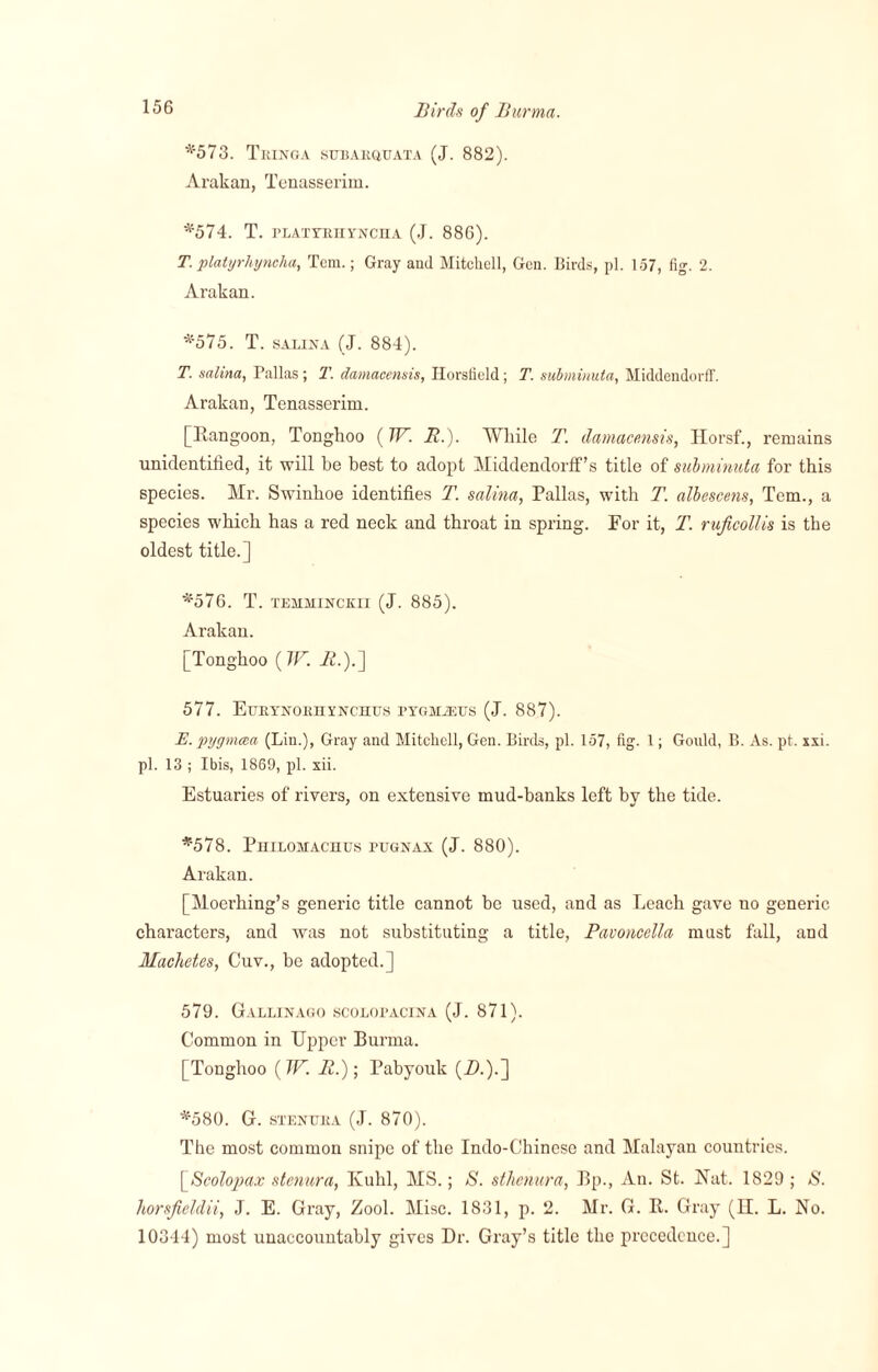*573. Tkinga subahqtjata (J. 882). Arakan, Tenasserim. *574. T. platyeiiynciia (J. 886). T. platyrhyncha, Tcm.; Gray and Mitchell, Gen. Birds, pi. 1.57, fig. 2. Arakan. *575. T. saiina (J. 884). T. saiina, Pallas ; T. damacensis, Horsfield; T. subminuta, Middendorff. Arakan, Tenasserim. [Rangoon, Tonghoo ( TP. R.). While T. damacensis, Horsf., remains uniclentilied, it will he best to adopt Middendorff’s title of subminuta for this species. Mr. Swinhoe identifies T. saiina, Pallas, with T. albescens, Tern., a species which has a red neck and throat in spring. For it, T. ruficollis is the oldest title.] *576. T. tehminckii (J. 885). Arakan. [Tonghoo (TV. A.).] 577. Eueynobhynchus pygmjgus (J. 887). E. pygmcea (Lin.), Gray and Mitchell, Gen. Birds, pi. 157, fig. 1; Gould, B. As. pt. xxi. pi. 13 ; Ibis, 1869, pi. xii. Estuaries of rivers, on extensive mud-banks left by the tide. *578. Philomachus pugnax (J. 880). Arakan. [Moerhing’s generic title cannot he used, and as Leach gave uo generic characters, and was not substituting a title, Pavoncella must fall, and Machetes, Cuv., be adopted.] 579. Gallinago scolopacina (J. 871). Common in Upper Burma. [Tonghoo (TP. R.); Pabyouk (A.).] *580. G. stenuba (J. 870). The most common snipe of the Indo-Chinese and Malayan countries. [Scolopax stenura, Kuhl, MS.; S. sthenura, Bp., Au. St. Nat. 1829 ; S. horsfieldii, J. E. Gray, Zool. Misc. 1831, p. 2. Mr. G. R. Gray (II. L. No. 10344) most unaccountably gives Dr. Gray’s title the precedence.]