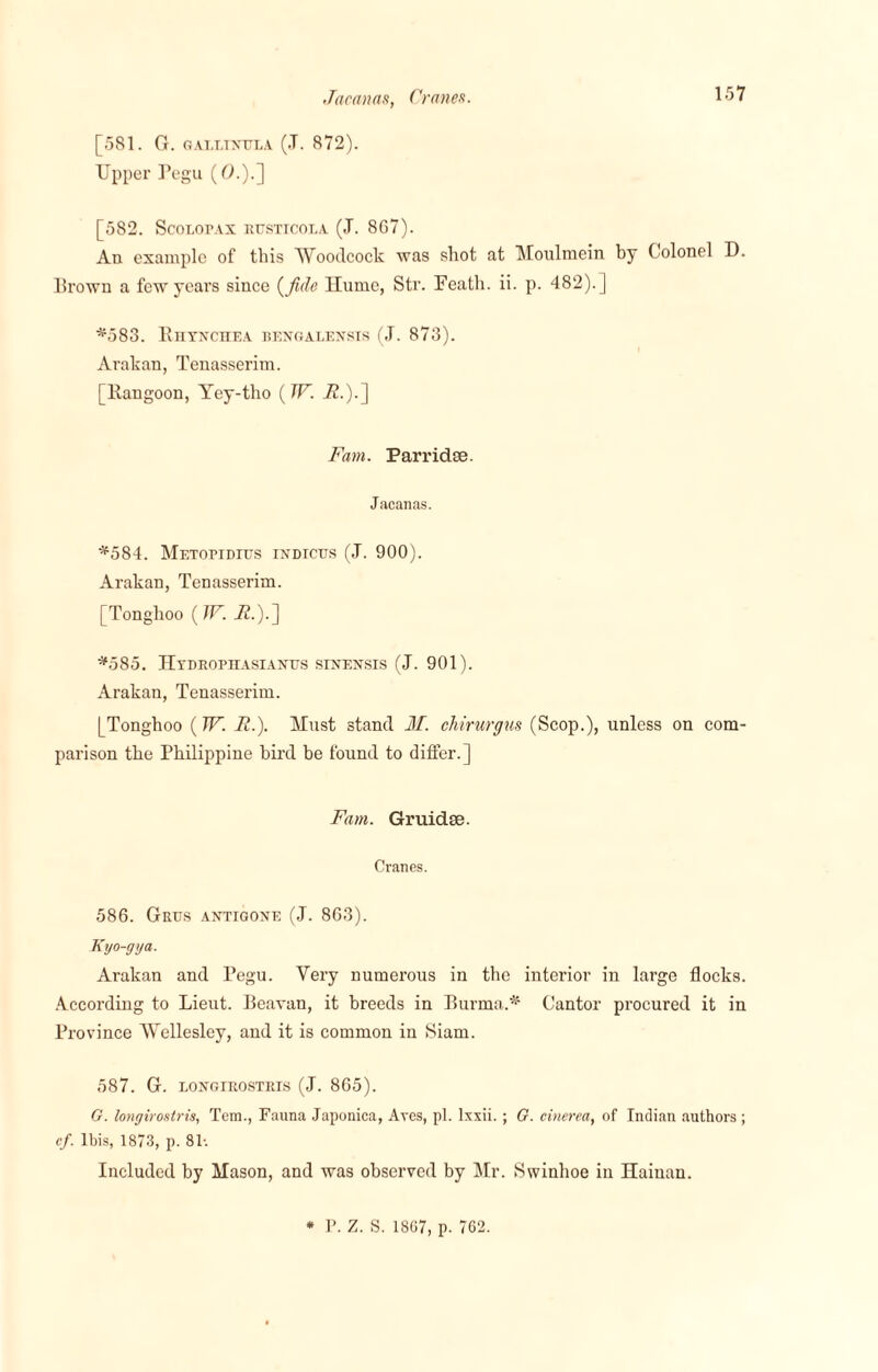 Jacanas, Cranes. [581. G. GAXLINTJLA (.T. 872). Upper Pegu (0.).] [582. ScoLorAx rusticola (J. 867). An example of this Woodcock was shot at Moulmein by Colonel D. Brown a few years since (fide Hume, Str. Feath. ii. p. 482).] *583. Rhynchea bengalensis (J. 873). Arakan, Tenasserim. [Rangoon, Tey-tho {TV. i2.).] Fam. Parridse. Jacanas. *584. Metopidius indices (J. 900). Arakan, Tenasserim. [Tonghoo ( W. it.).] *585. Hydrophasianus sinensis (J. 901). Arakan, Tenasserim. [Tonghoo (W. R.). Must stand J\I. chirurgus (Scop.), unless on com¬ parison the Philippine bird he found to differ.] Fam. Gruidse. Cranes. 586. Guns antigone (J. 863). Kyo-gya. Arakan and Pegu. Very numerous in the interior in large flocks. According to Lieut. Beavan, it breeds in Burma.* Cantor procured it in Province Wellesley, and it is common in Siam. 587. G. longirostris (J. 865). G. longirostris, Tem., Fauna Japonica, Aves, pi. Ixxii. ; G. cinerea, of Indian authors ; cf. Ibis, 1873, p. 81-. Included by Mason, and was observed by Mr. Swinhoe in Hainan. * P. Z. S. 1867, p. 762.