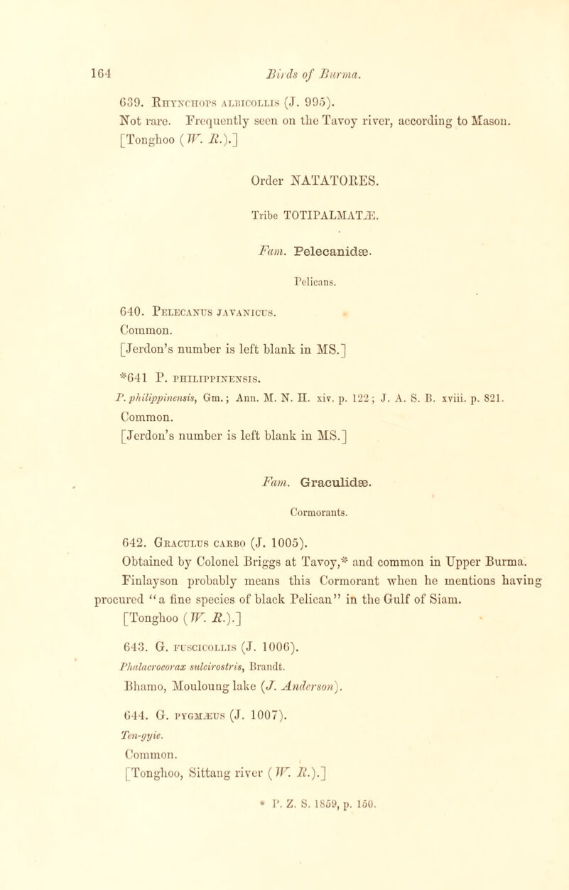 639. Rhtnchops albicollis (J. 995). Not rare, frequently seen on the Tavoy river, according to Mason. [Tonghoo (7F. 22.).] Order NATATORES. Tribe TOTIPALMAT2E. Fam. Pelecanidee- Pelicans. 640. Pelecanus javanicus. Common. [Jerdon’s number is left blank in MS.] *641 P. PHILIPPINENSIS. P. philippinensis, Gm.; Ann. M. N. II. xiv. p. 122; J. A. S. B. xviii. p. 821. Common. [Jerdon’s number is left blank in MS.] Fam. Graculiclse. Cormorants. 642. Graculus carbo (J. 1005). Obtained by Colonel Briggs at Tavoy,* and common in Upper Burma. Finlayson probably means this Cormorant when he mentions having procured “a fine species of black Pelican” in the Gulf of Siam. [Tonghoo (W. 22.).] 643. G. fuscicollis (J. 1006). Phalacrocorax sulciroslris, Brandt. Bhamo, Moulouug lake (J. Anderson). 644. G. PYGM.EUS (J. 1007). Ten-gyie. Common. | Tonghoo, Sittang river (IF. 72.).] * P. Z. S. 1859, p. 150.