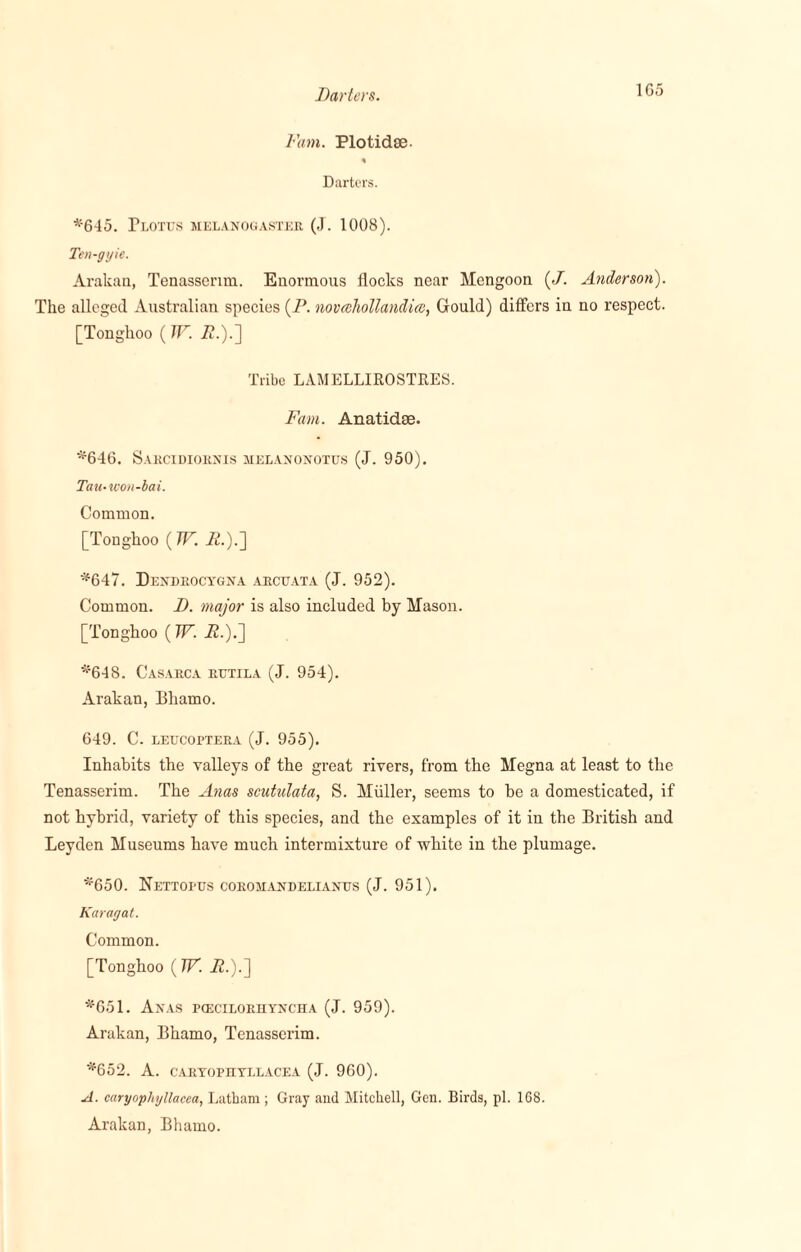 Darters. 1G5 Fam. Plotidse. * Darters. *615. PLOTUS MELANOGASTER (J. 1008). Ten-gyie. Arakan, Tenasscrim. Enormous flocks near Mcngoon {J. Anderson). The alleged Australian species (P. novcehollandice, Gould) differs in no respect. [Tonghoo (TF. P.).] Tribe LAMELLIROSTRES. Fam. Anatidse. *646. Sarcidiornis melanonotus (J. 950). Tau-won-bai. Common. [Tonghoo (TF. P.).] *647. Dexdrocygxa arcuata (J. 952). Common. D. major is also included by Mason. [Tonghoo (IF. P.).] *648. Casarca rutila (J. 954). Arakan, Bhamo. 649. C. leucoptera (J. 955). Inhabits the valleys of the great rivers, from the Megna at least to the Tenasserim. The Anas scutulata, S. Miiller, seems to be a domesticated, if not hybrid, variety of this species, and the examples of it in the British and Leyden Museums have much intermixture of white in the plumage. *650. Nettopus coromandelianus (J. 951). Karagat. Common. [Tonghoo (TF. P.).] *651. Anas pceciloriiyncha (J. 959). Arakan, Bhamo, Tenasserim. *652. A. CARYOPHYLLACEA (J. 960). A. caryophyllacea, Latham ; Gray and Mitchell, Gen. Birds, pi. 168. Arakan, Bhamo.