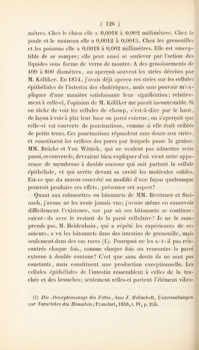 mètres. Chez le chien elle a 0,0018 à 0,002 millimètres. Chez la poule et le moineau elle a 0,0012 à 0,0016. Chez les grenouilles et les poissons elle a 0,0018 à 0,002 millimètres. Elle est suscep¬ tible de se rompre; elle peut aussi se soulever par l’action des liquides sous forme de verre de montre. A des grossissements de 400 à 800 diamètres, on aperçoit souvent les stries décrites par M. Kolliker. En 1864, j'avais déjà aperçu ces stries sur les cellules épithéliales de l’intestin des cholériques, mais sans pouvoir m’ex¬ pliquer d’une manière satisfaisante leur signification; relative¬ ment à celle-ci, l’opinion de M. Kolliker me paraît incontestable. Si on tâche de voir les cellules de champ, c’est-à-dire par le haut, de façon à voir à plat leur base ou paroi externe, on s’aperçoit que celle-ci est couverte de ponctuations, comme si elle était criblée de petits trous. Ces ponctuations répondent sans doute aux stries, et constituent les orifices des pores par lesquels passe la graisse. MM. Brücke et Von Wittich, qui ne veulent pas admettre cette paroi, ce couvercle, devraient bien expliquer d’où vient cette appa¬ rence de membrane à double contour qui suit partout la cellule épithéliale, et qui arrête devant sa cavité les molécules solides. Est-ce que du mucus concrété ou modifié d’une façon quelconque pourrait produire ces effets, présenter cet aspect? Quant aux colonnettes ou bâtonnets de MM. Brettauer et Stei- nach, j’avoue ne les avoir jamais vus; j’avoue même en concevoir difficilement l’existence, car par où ces bâtonnets se continue¬ raient-ils avec le restant de la paroi cellulaire? Je ne le com¬ prends pas. M. Heidenhain, qui a répété les expériences de ces auteurs, a vu les bâtonnets dans des intestins de grenouille, mais seulement dans des cas rares (1). Pourquoi ne les a-t-il pas ren¬ contrés chaque fois, comme chaque fois on rencontre la paroi externe à double contour? C’est que sans doute ils ne sont pas constants, mais constituent une production exceptionnelle. Les cellules épithéliales de l’intestin ressemblent à celles de la tra¬ chée et des bronches; seulement celles-ci portent l’élément vibra- (1) Die A bso rp lion s w ege des F elles, dans J. Molesehott, Untersuchungeu zur Naturlehre des Menschen; Francfort, 1858, t. IV, p. 255.