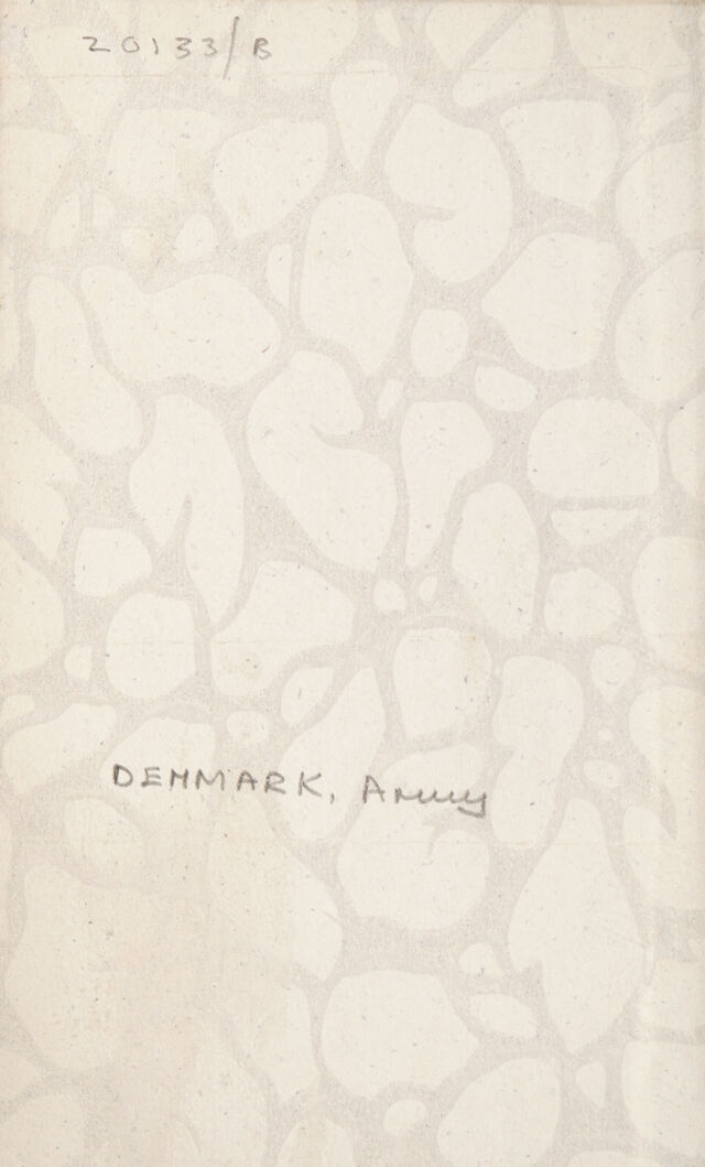 digitised image 2
